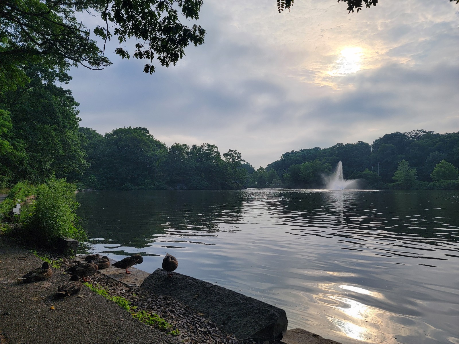 Fellsmere Park banner image