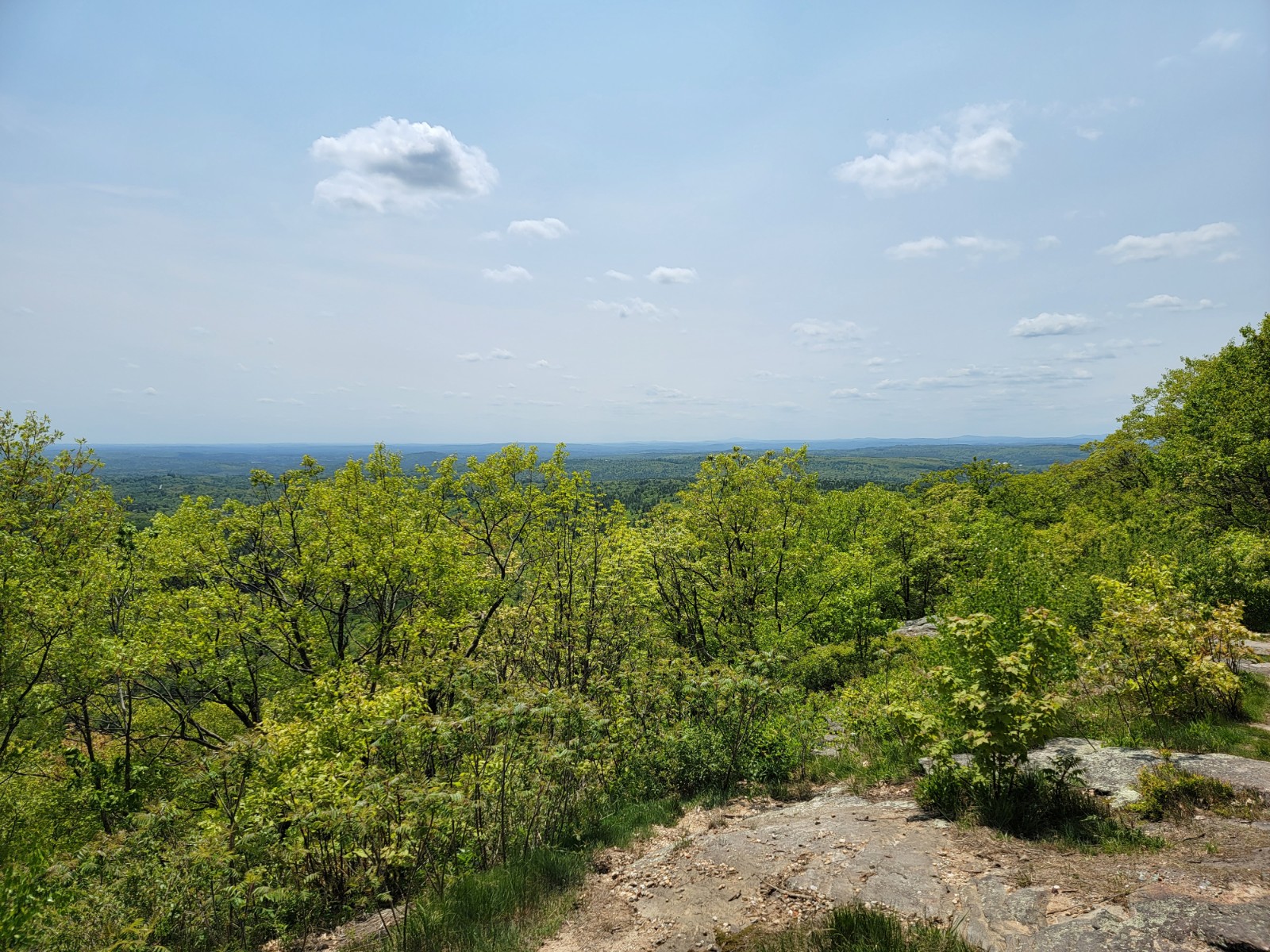 Uncanoonuc Mountains - South Uncanoonuc Trail banner image