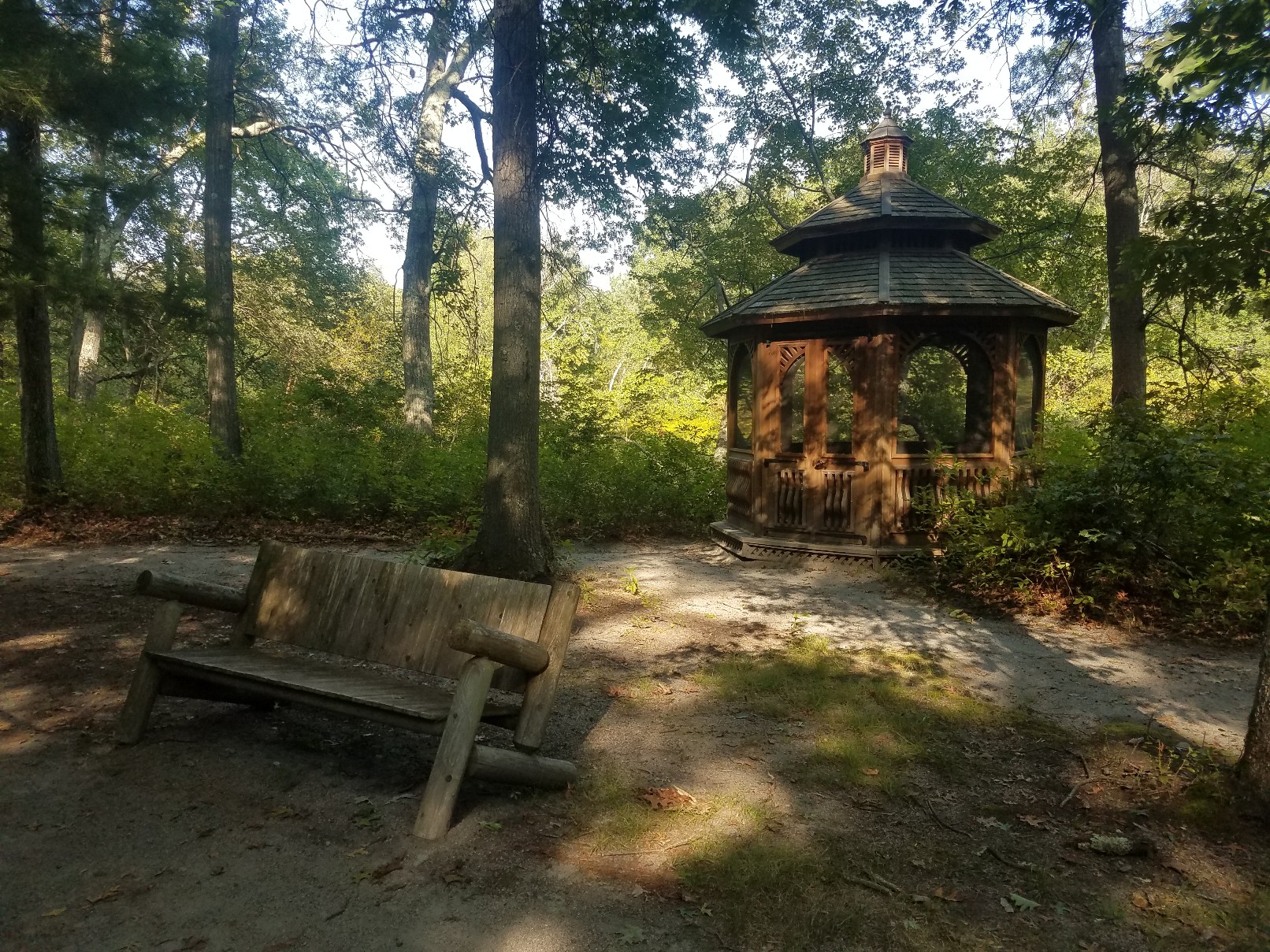 Wilson Mountain Reservation - Whitecomb Woods banner image