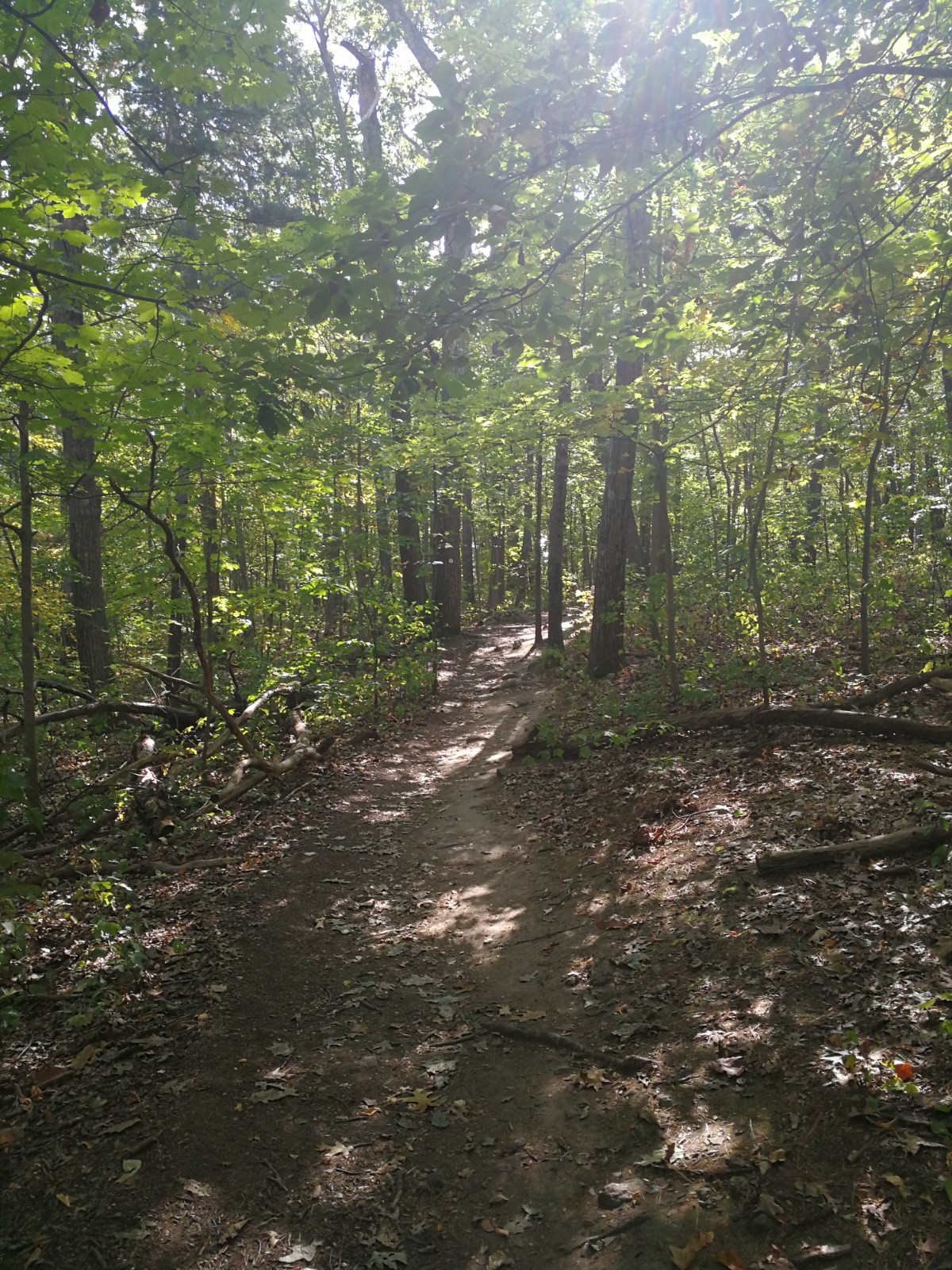 IMG_20171005_132220.jpg