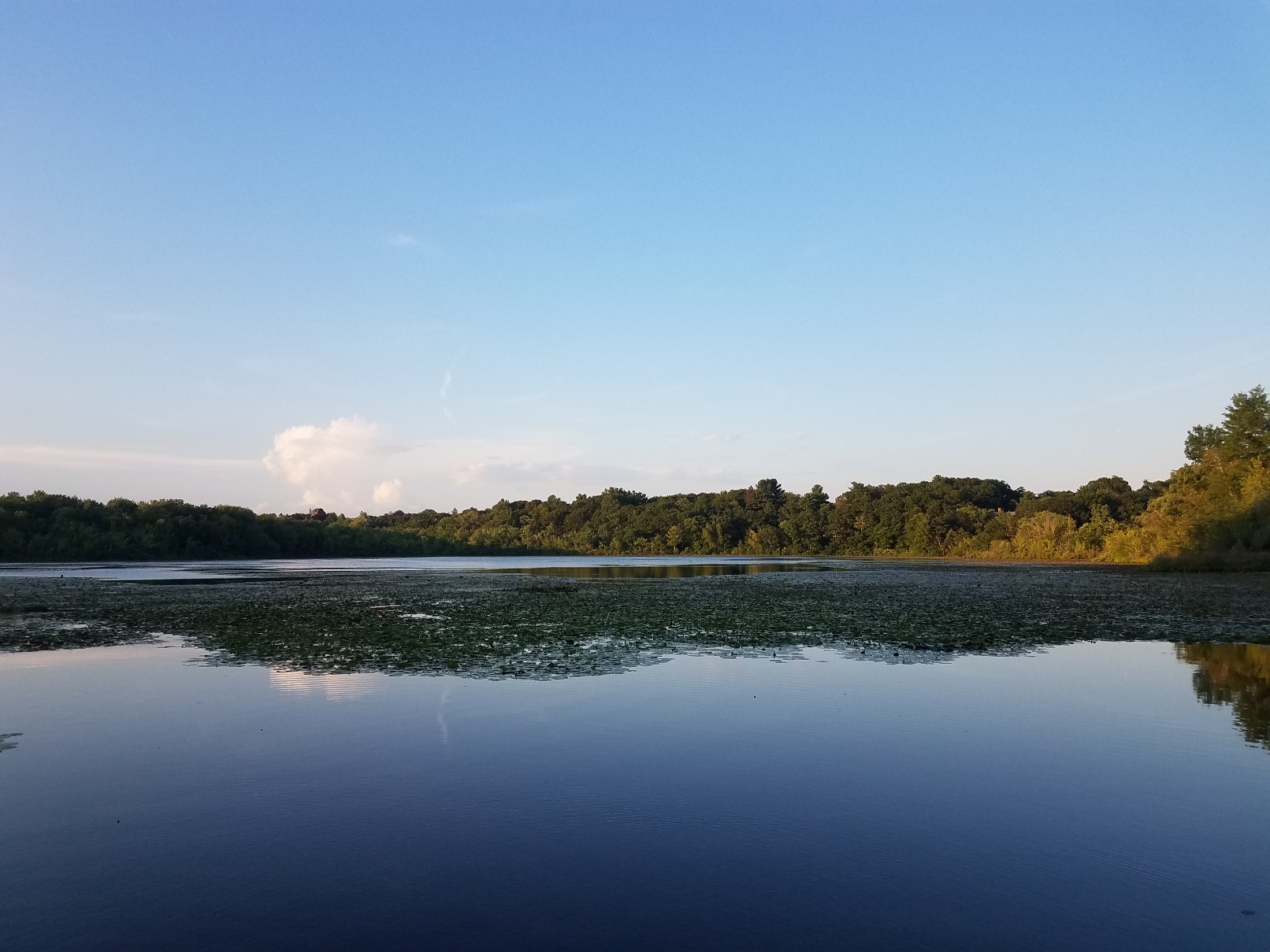 Hammond Pond Reservation banner image