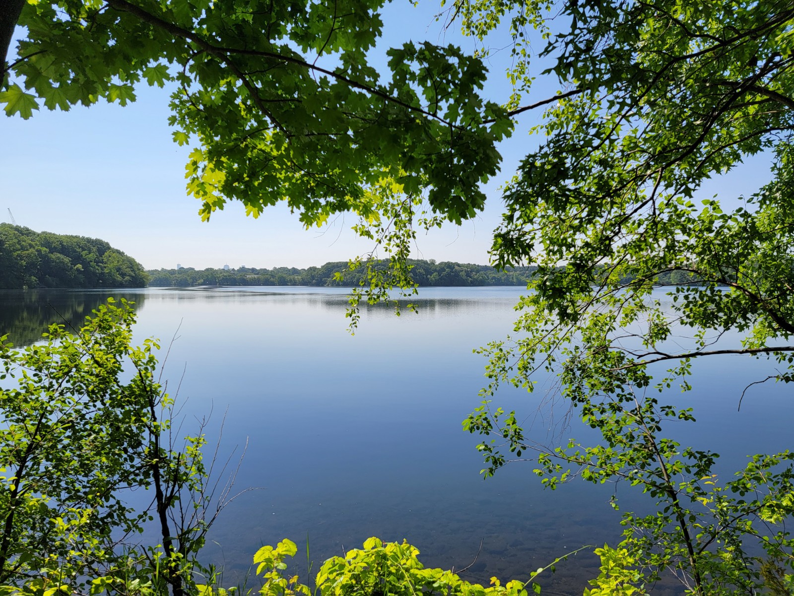 Fresh Pond Reservation banner image