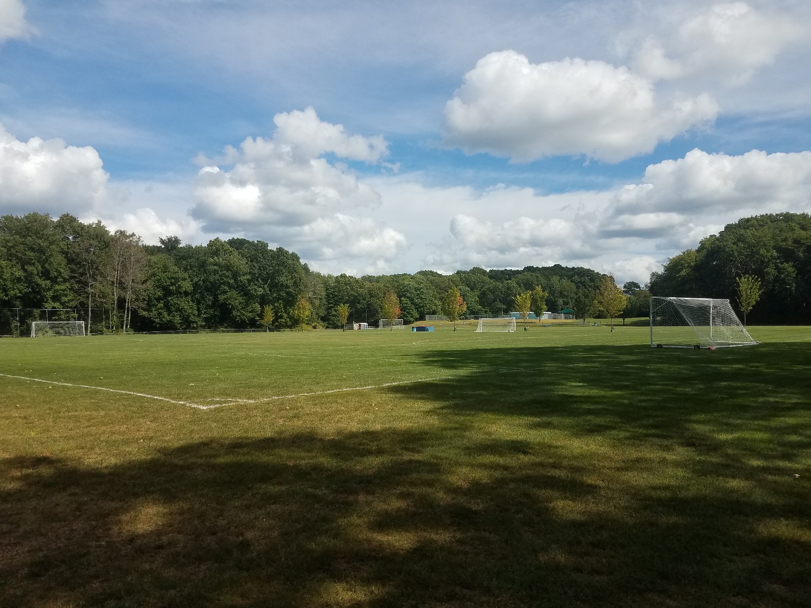 McAleer Playground banner image