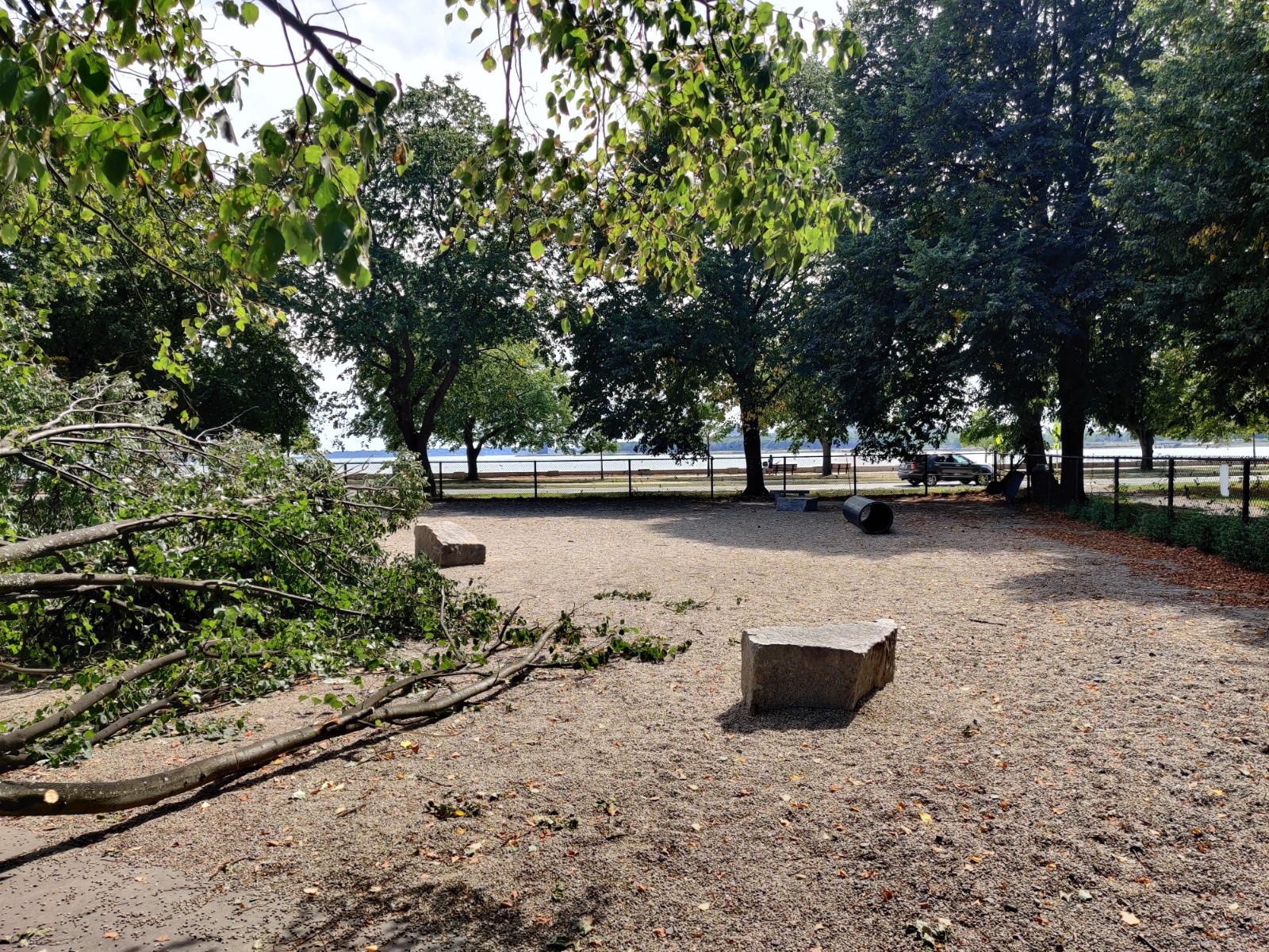 South Boston Bark Park banner image