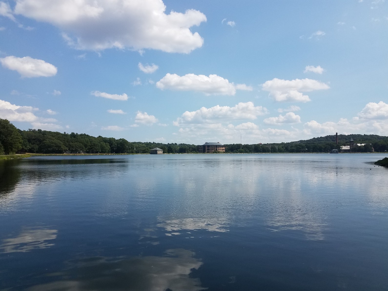 Chestnut Hill Reservation banner image