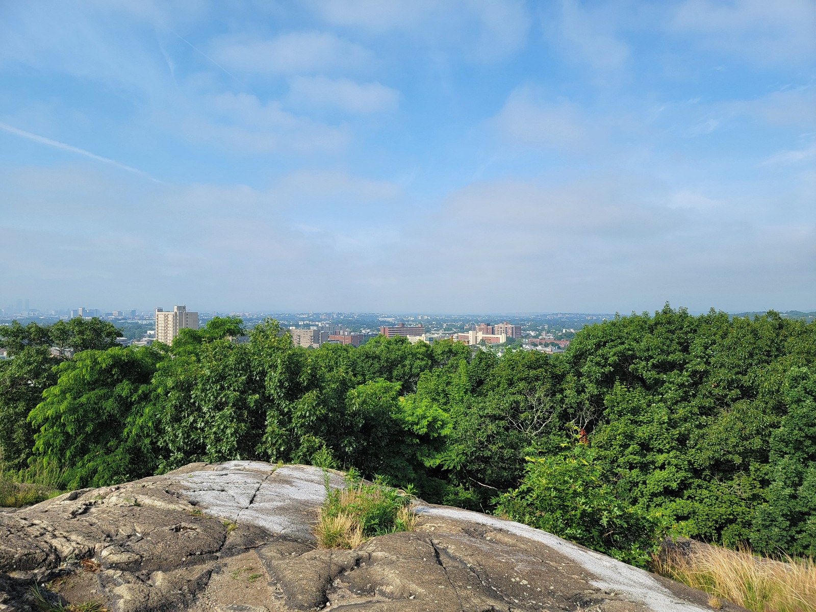 Waitt's Mount banner image