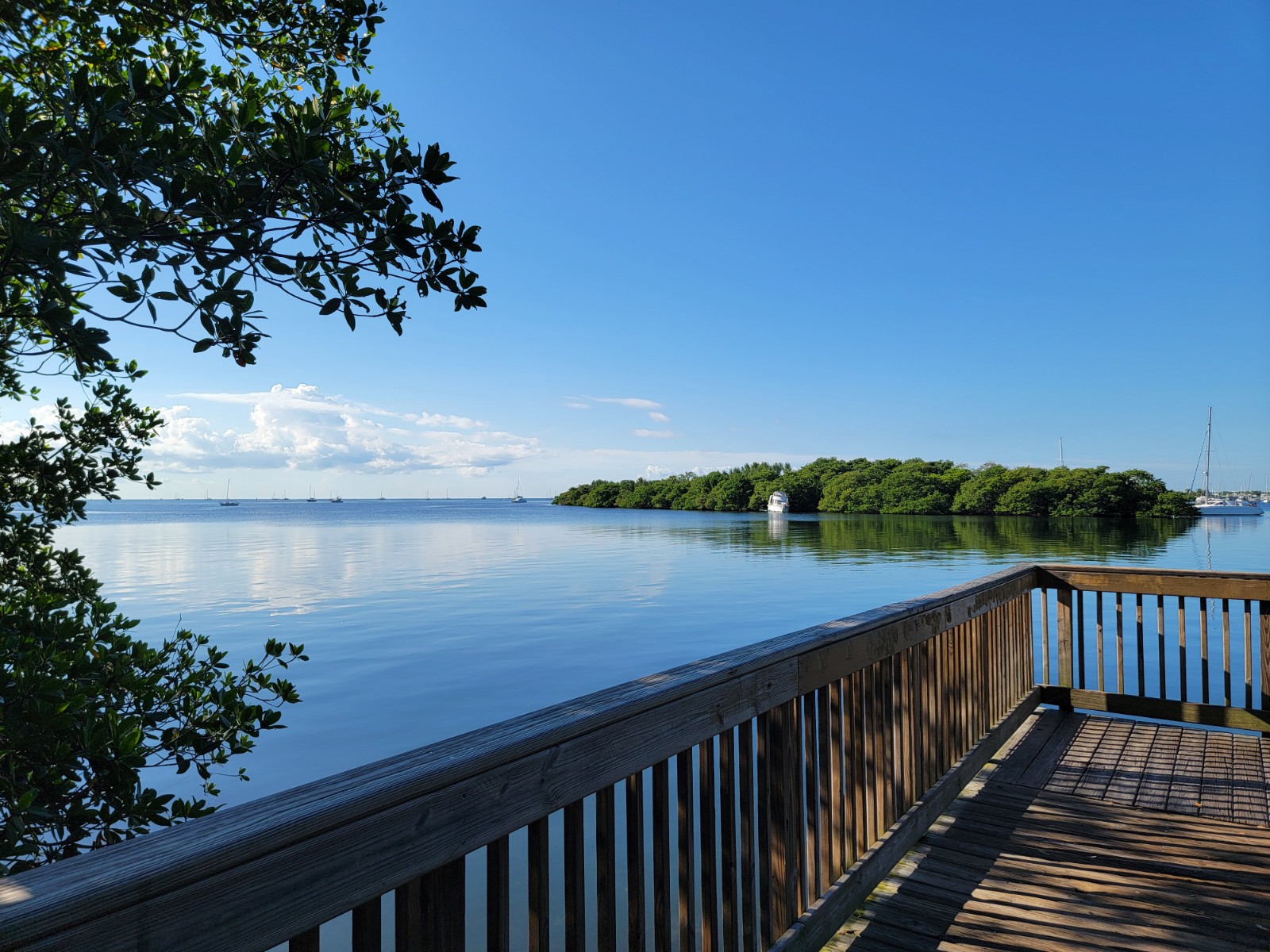 David T. Kennedy Park banner image