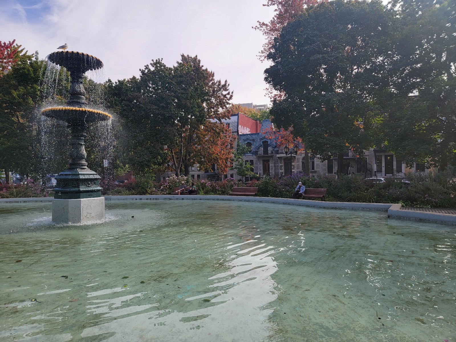 Square Saint-Louis banner image