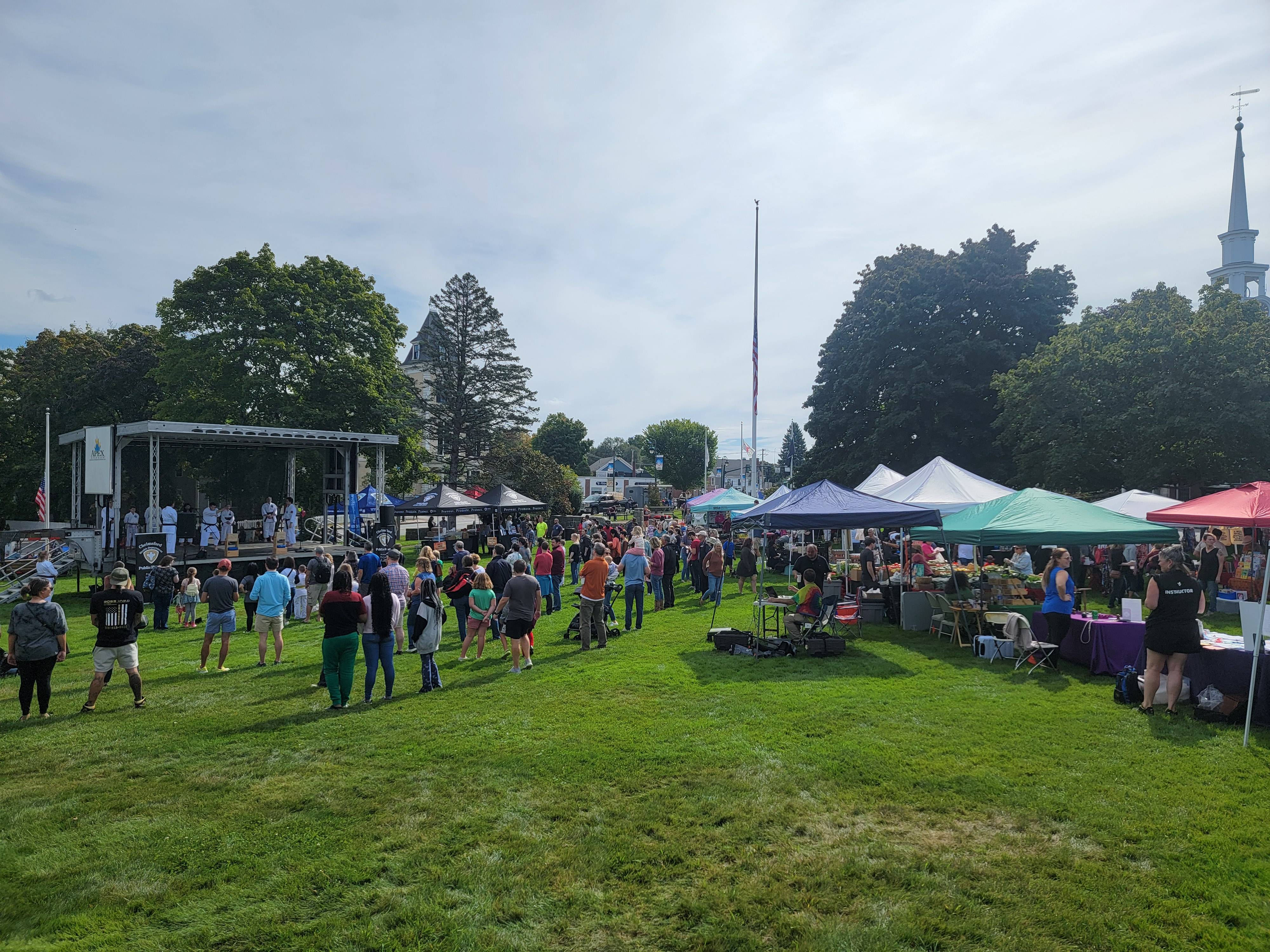 Chelmsford Town Common banner image