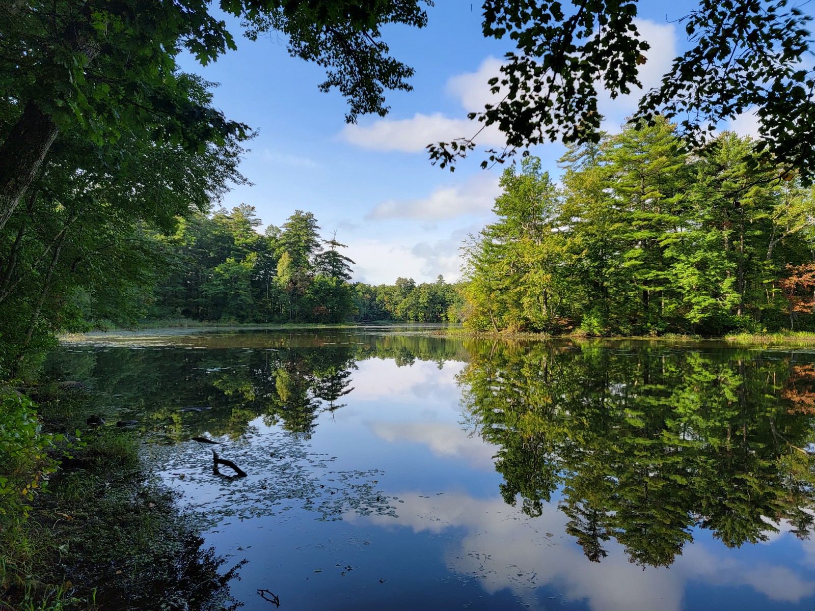 Livingston Park banner image