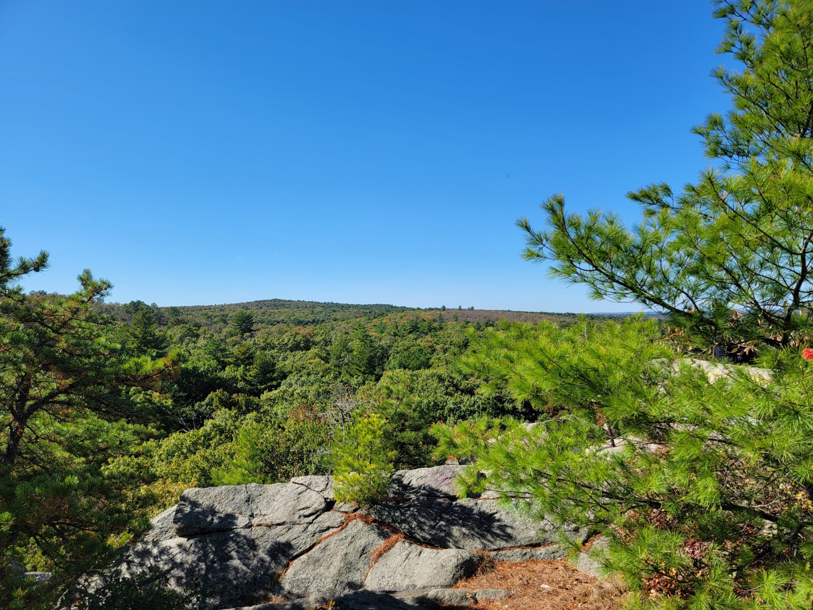 Blue Hills Reservation - Skyline Trail banner image