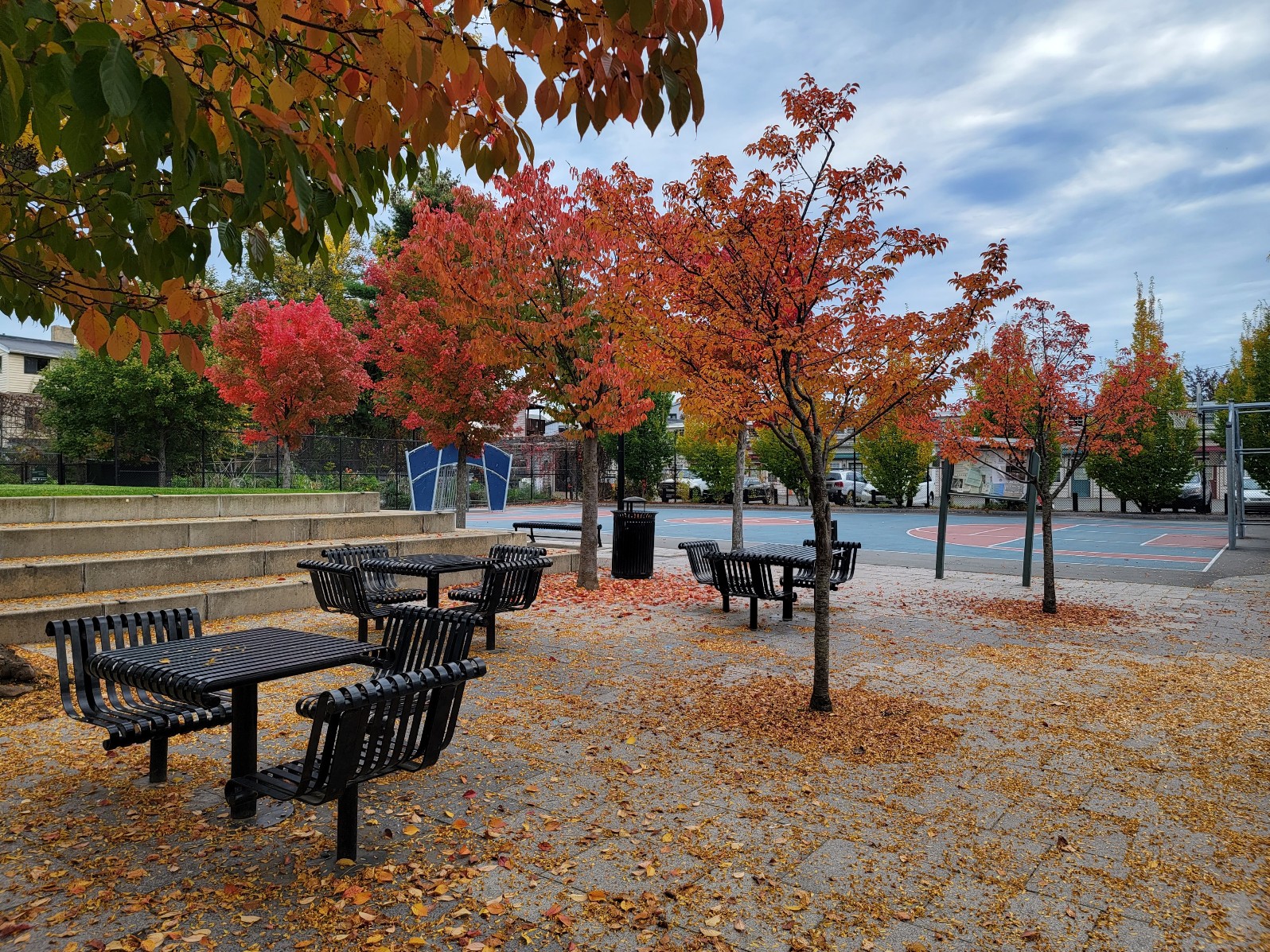 Albion Park banner image