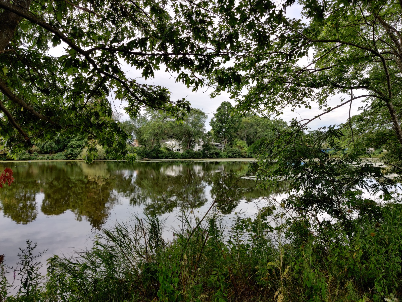 Ell Pond banner image