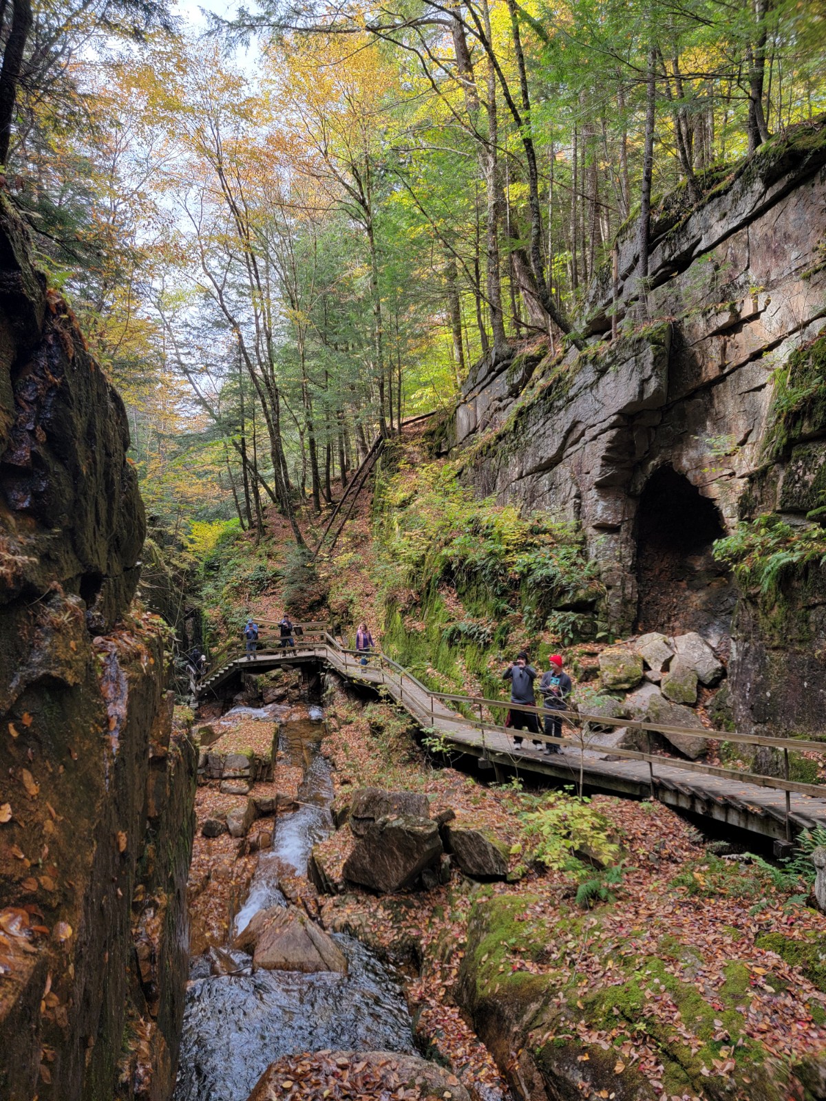 Franconia Notch State Park - Flume Gorge banner image