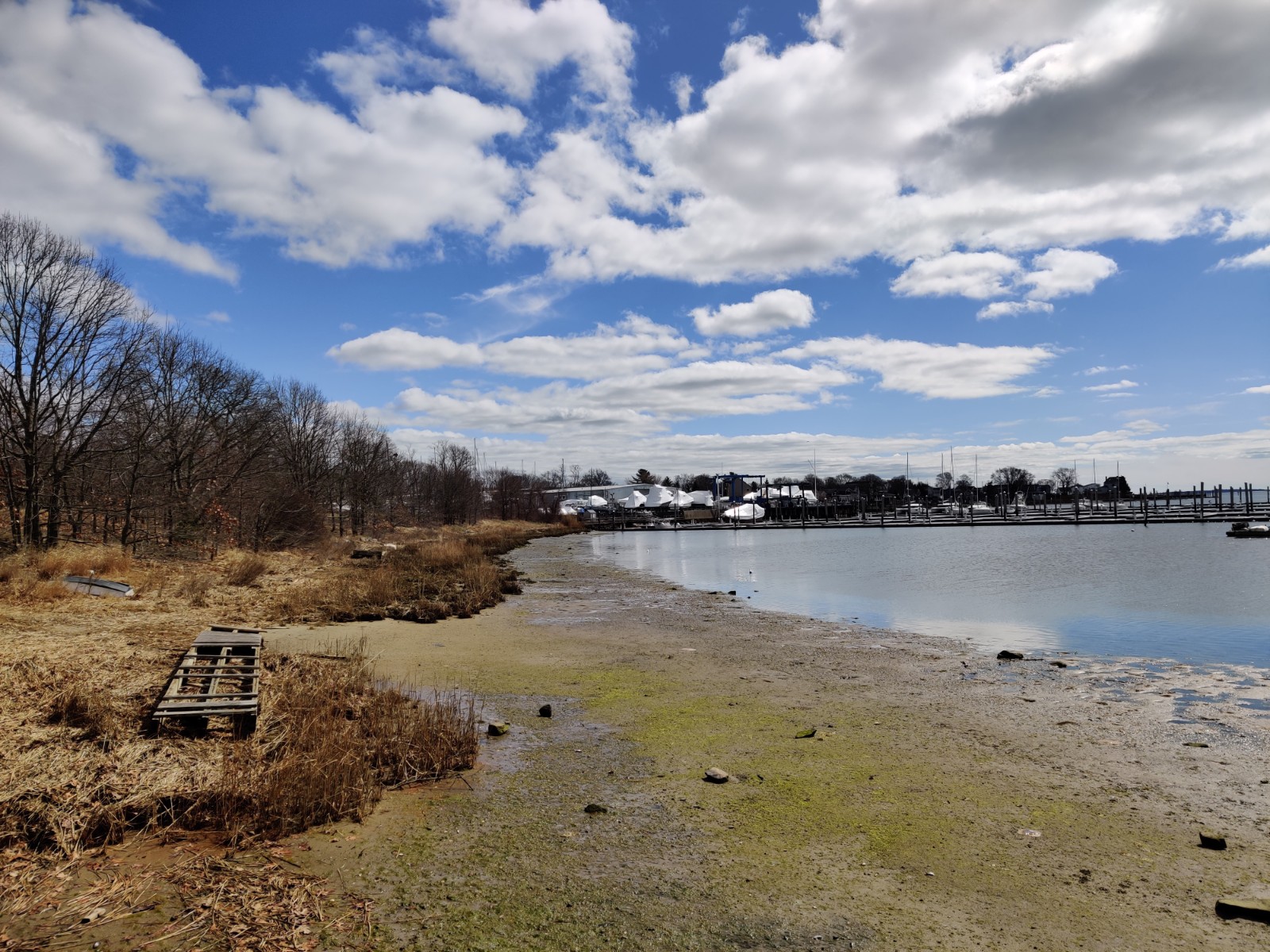 Haines Memorial State Park banner image