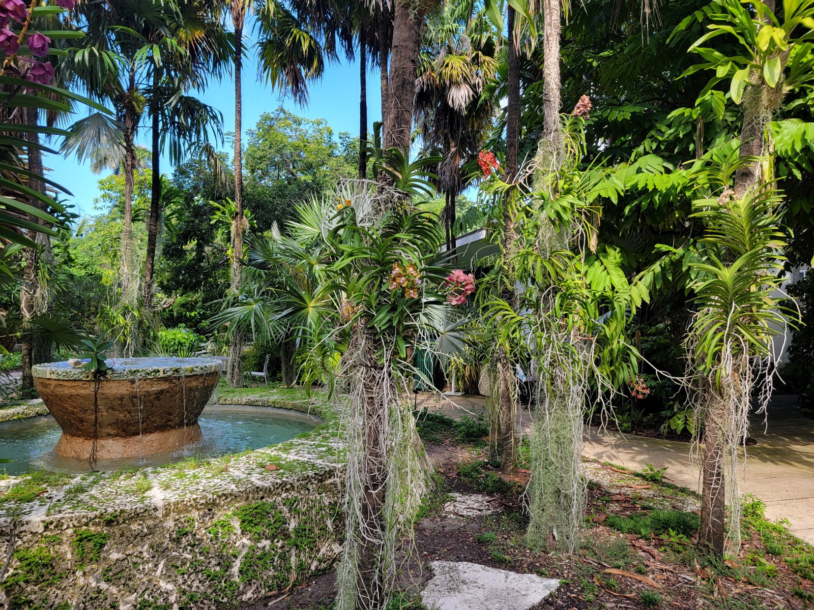 Miami Beach Botanical Garden banner image