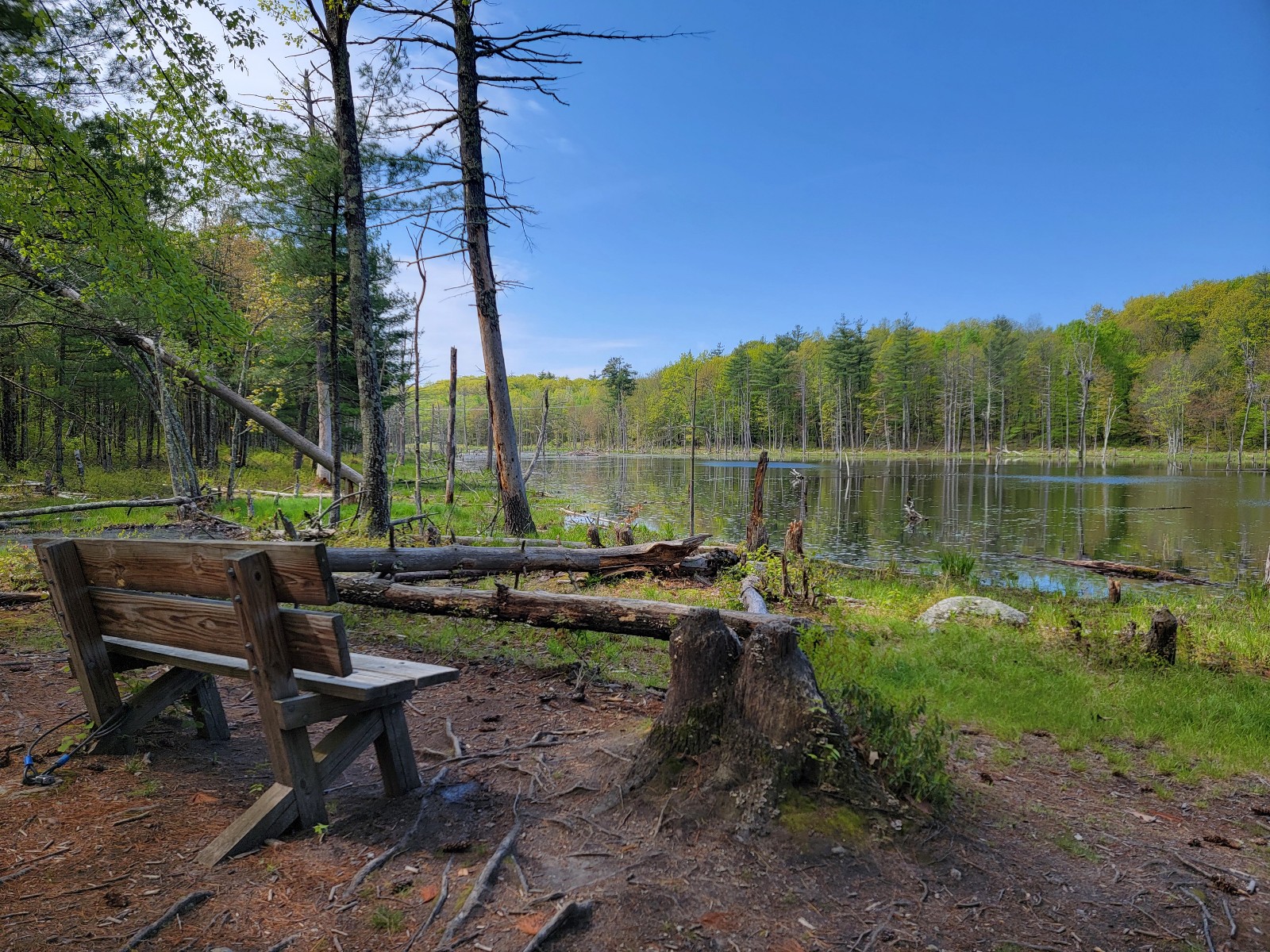 Horse Hill Nature Preserve banner image
