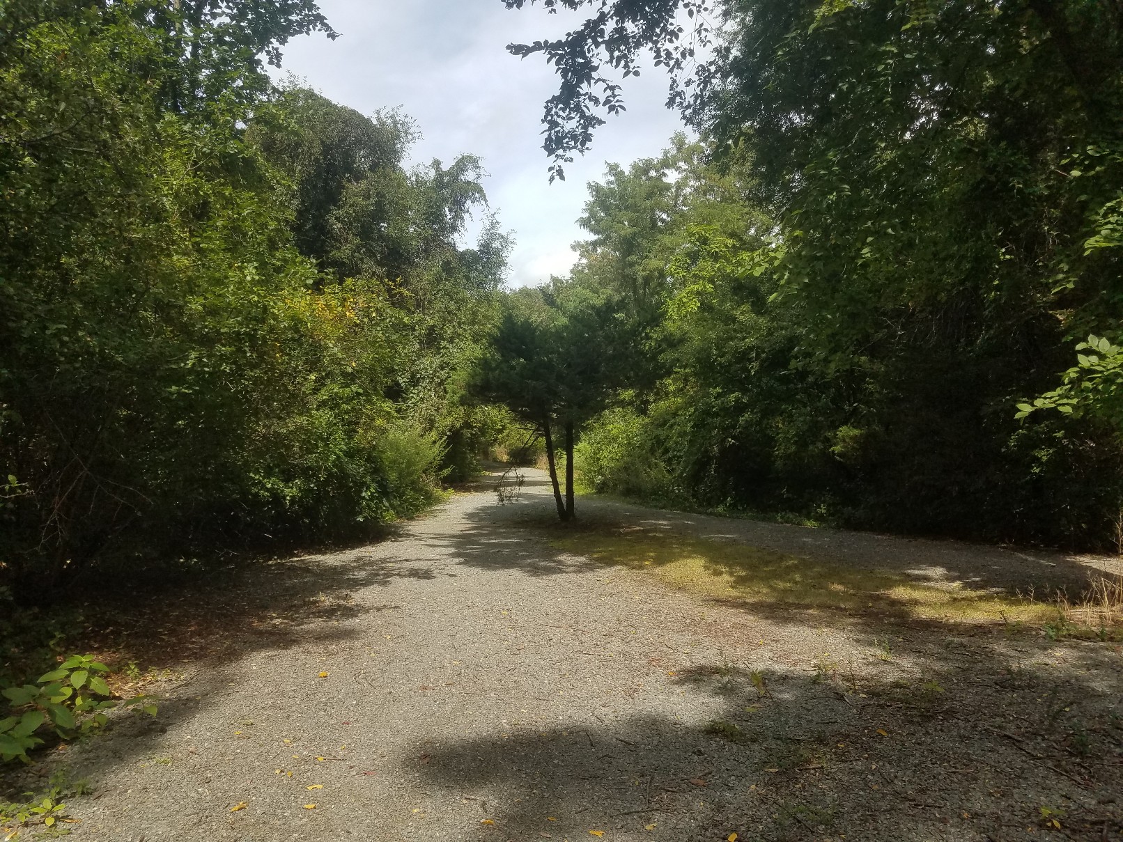 Hennessy Field banner image