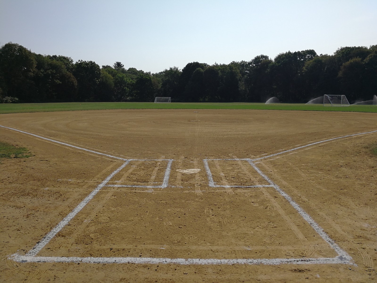 Condon Park banner image