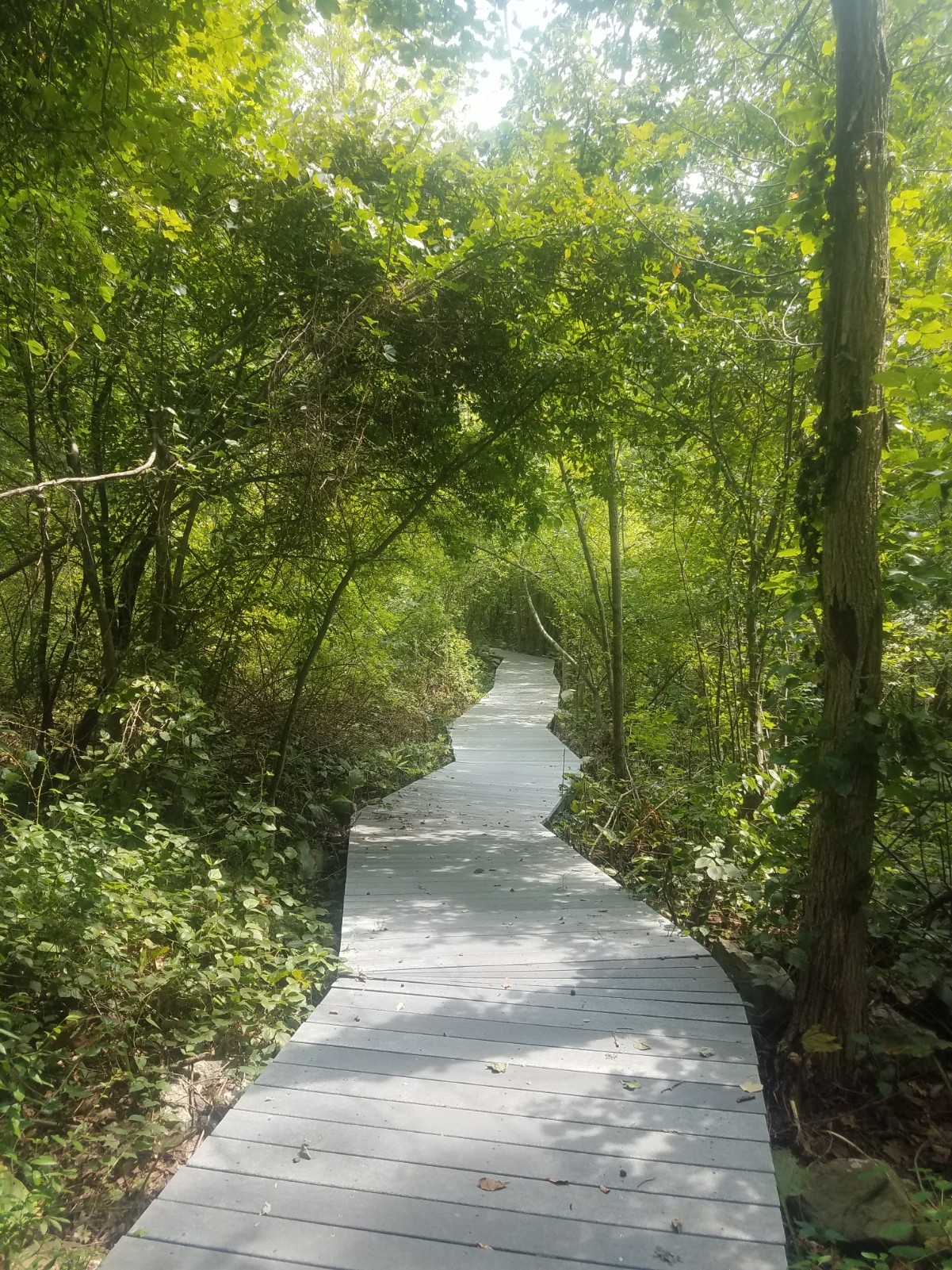 D. Blakely Hoar Nature Sanctuary banner image
