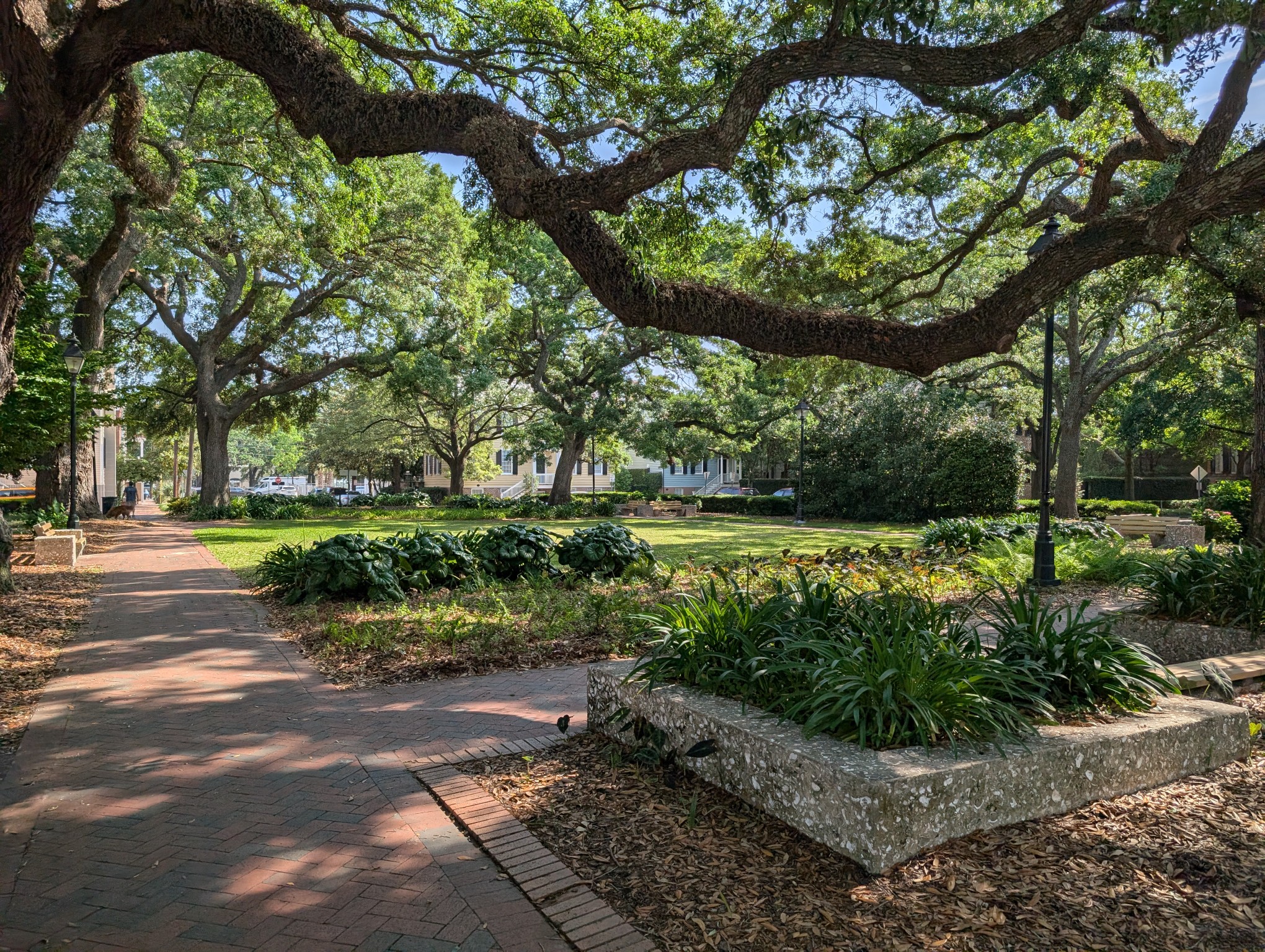 Warren Square banner image