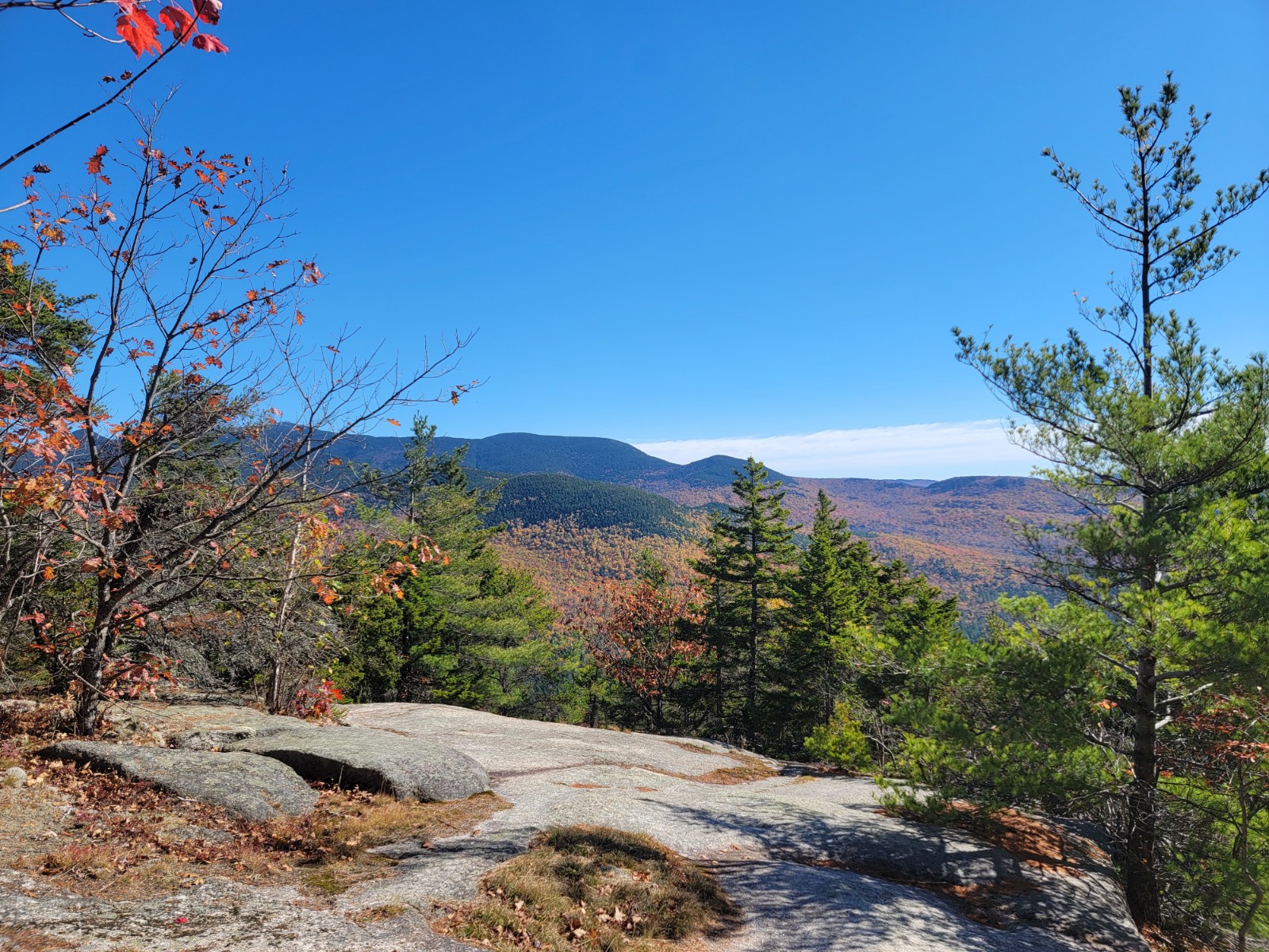 White Mountain National Forest - Welch-Dickey Trail banner image