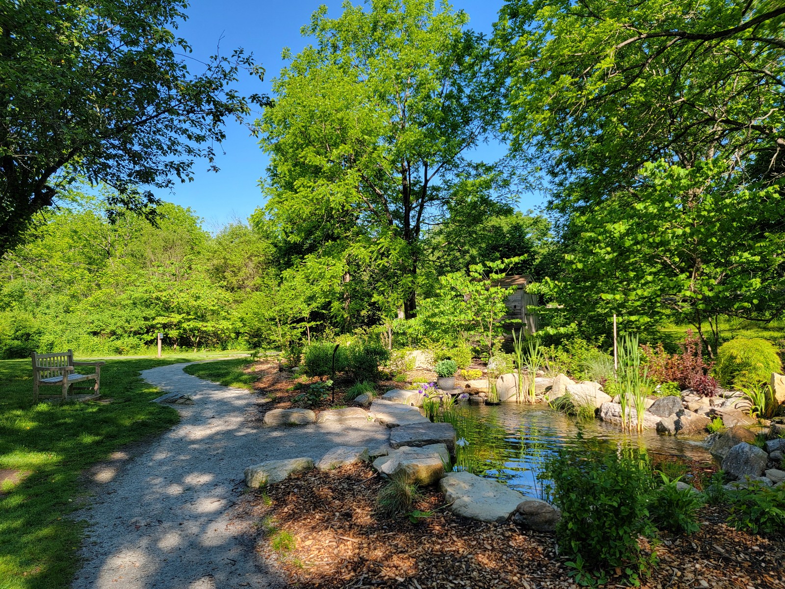 Acton Arboretum banner image
