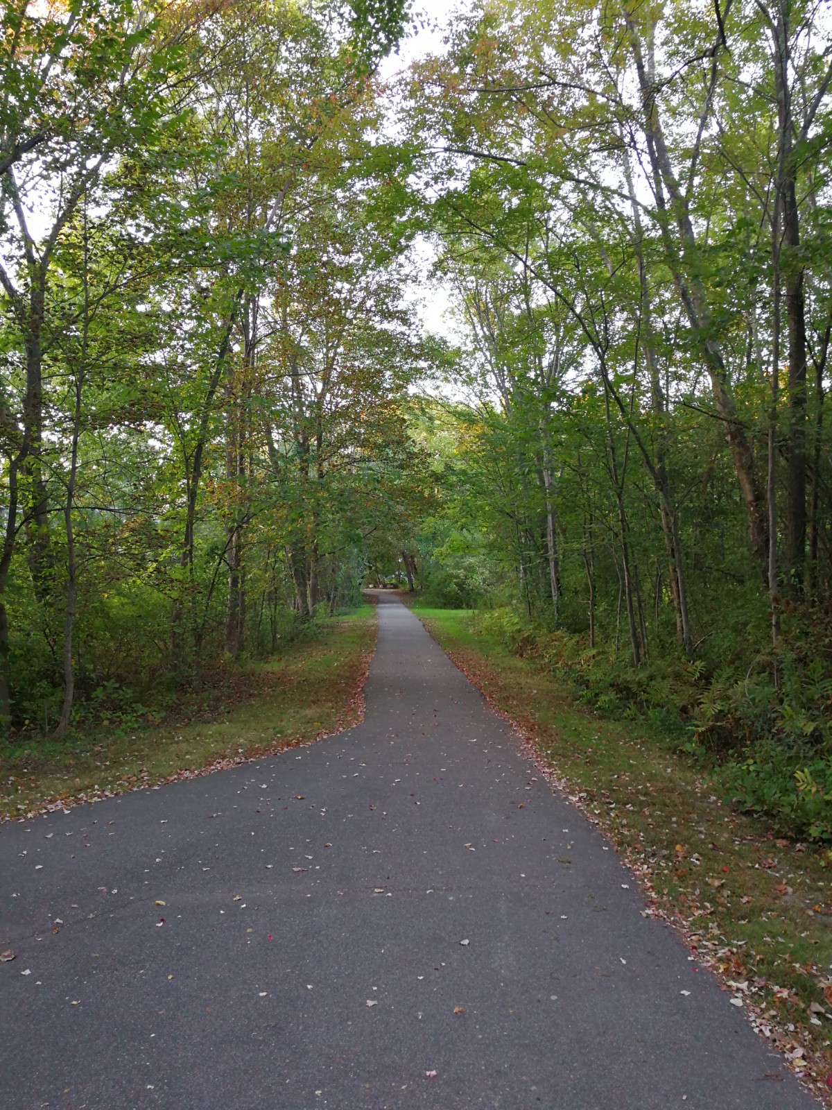 Kelly Memorial Park banner image