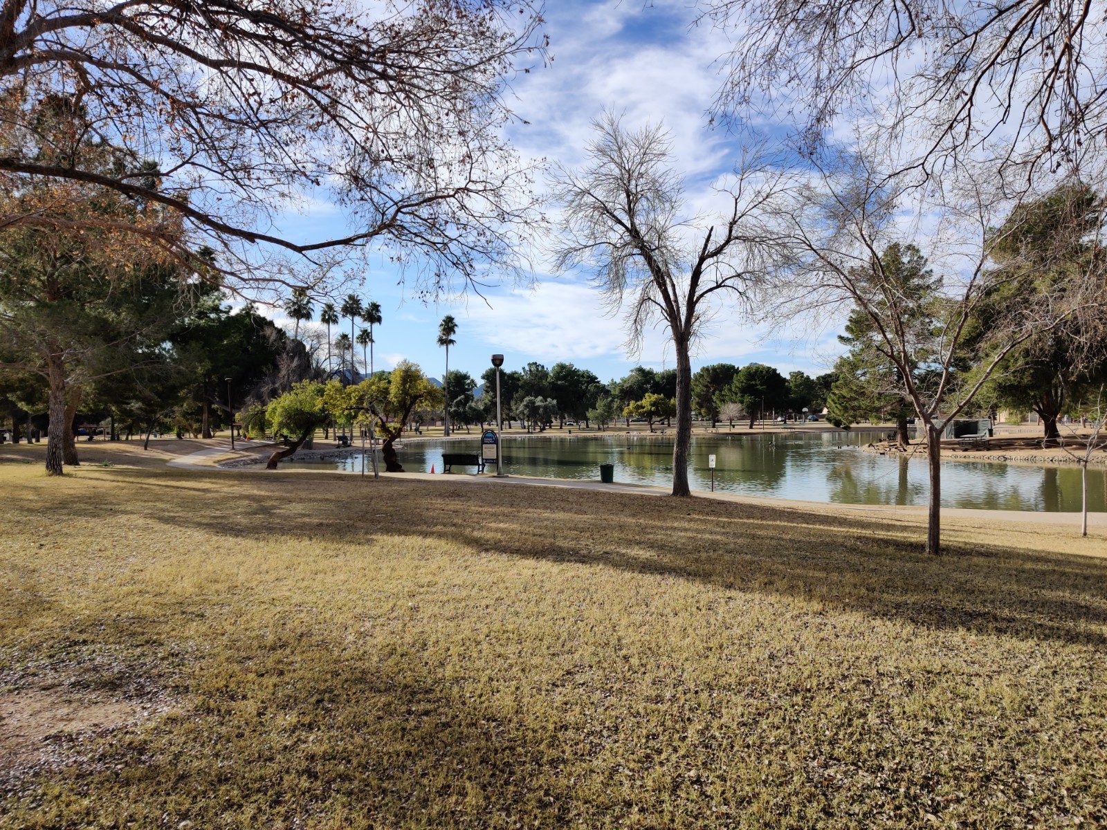 Roadrunner Park banner image