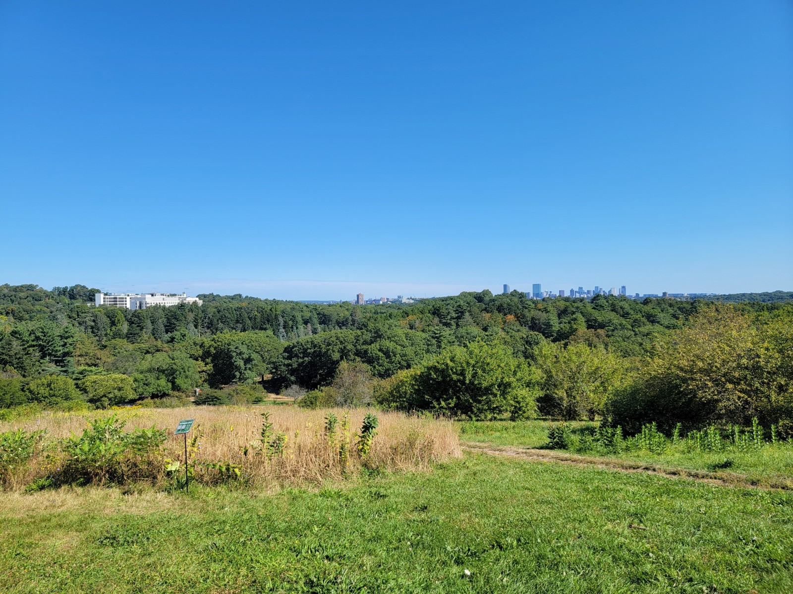 The Arnold Arboretum - Peters Hill banner image