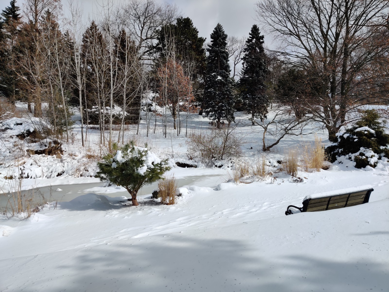 High Park banner image