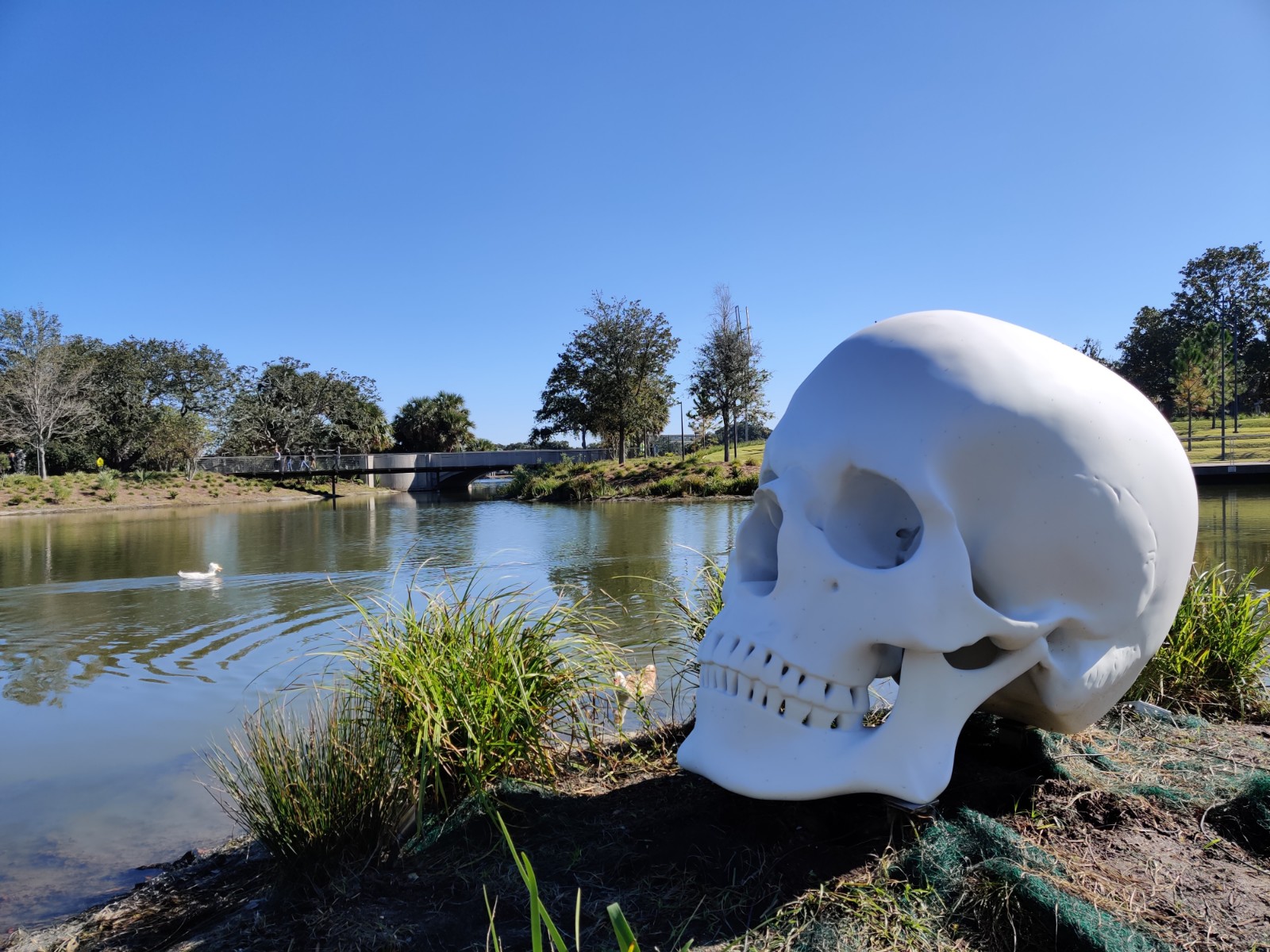 City Park - Sydney and Walda Besthoff Sculpture Garden banner image