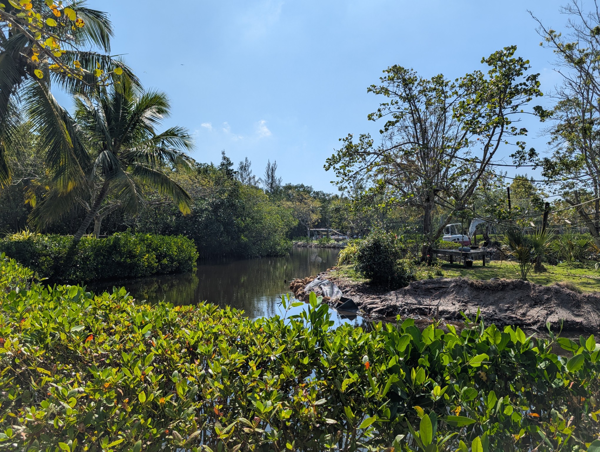 Naples Zoo at Caribbean Gardens banner image