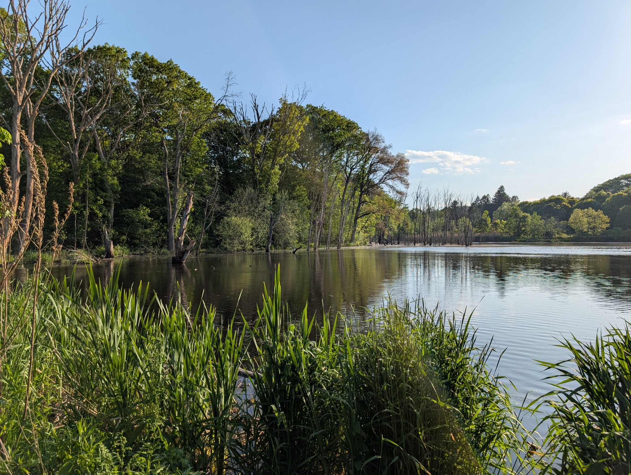 Beaver Brook Reservation - North Reservation banner image
