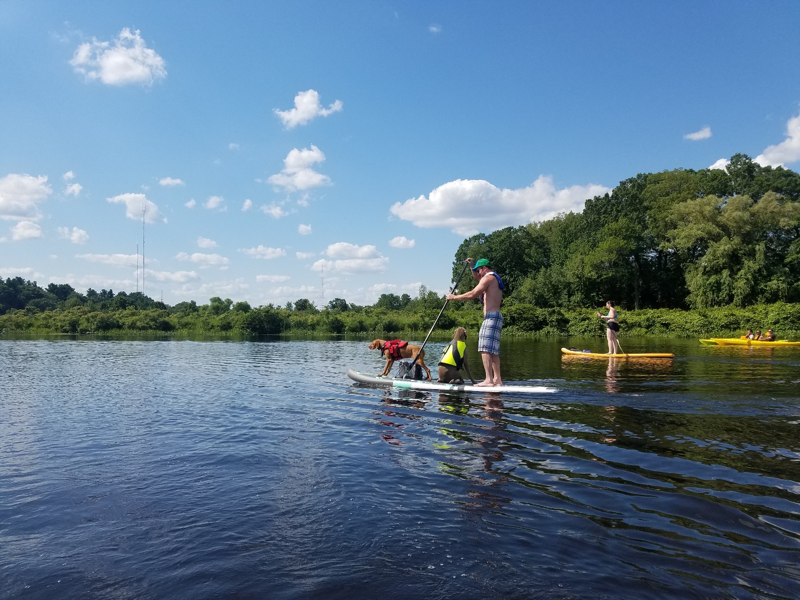 Cutler Park Reservation banner image