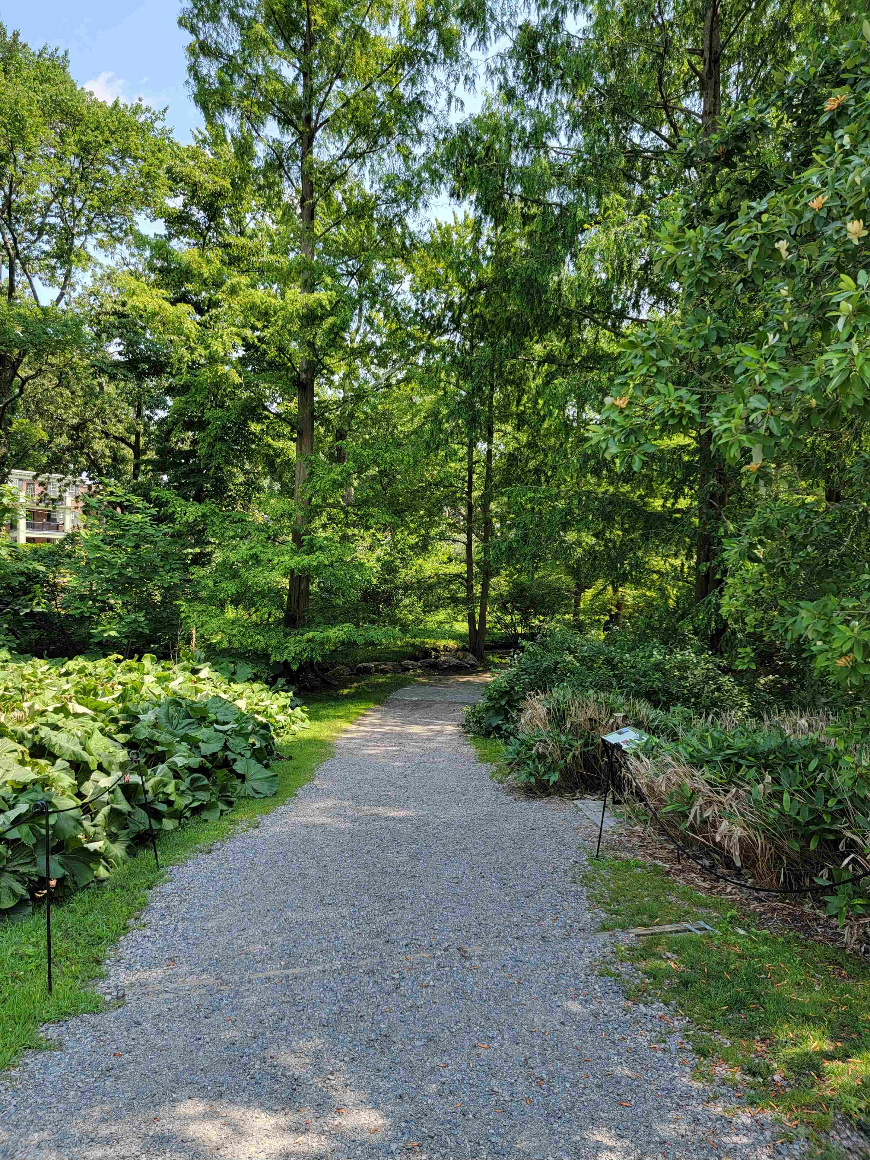 20230711_141251_copy_2884x3845 (1).jpg