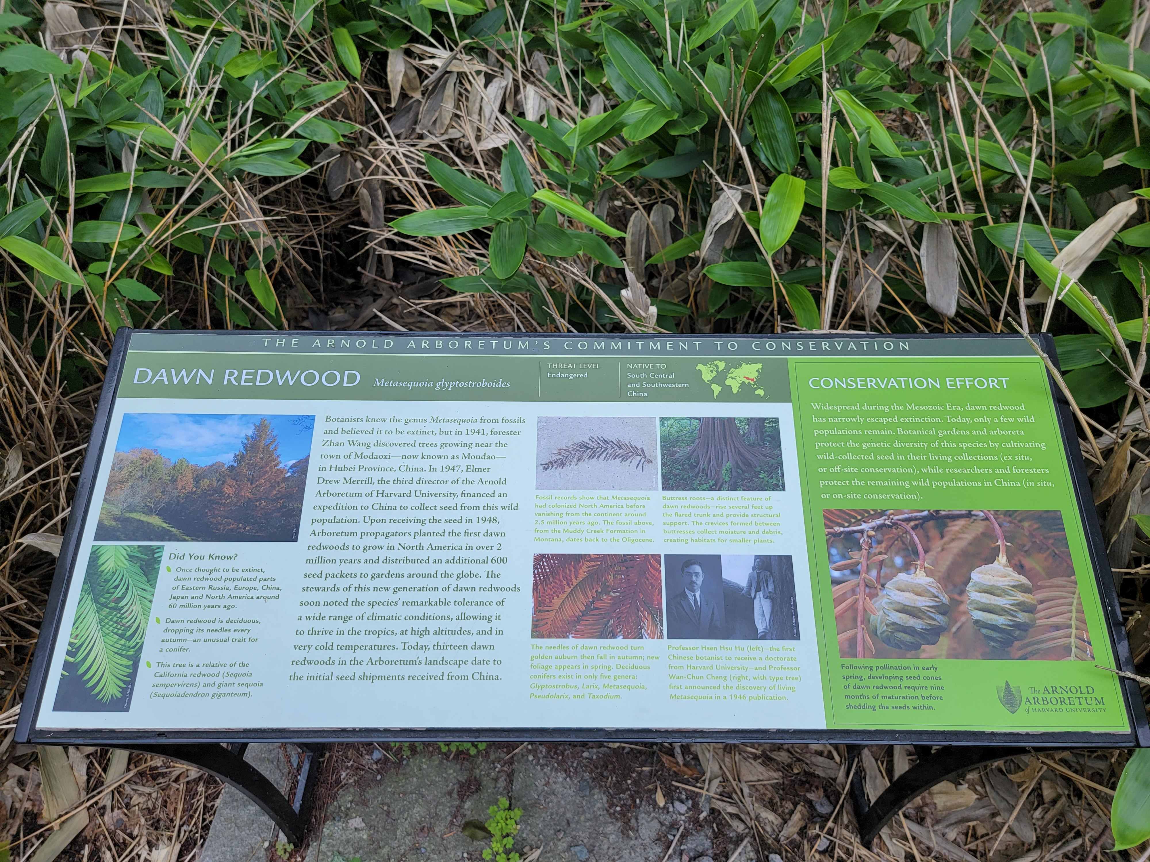 20230711_141318_copy_4000x3000 (1).jpg