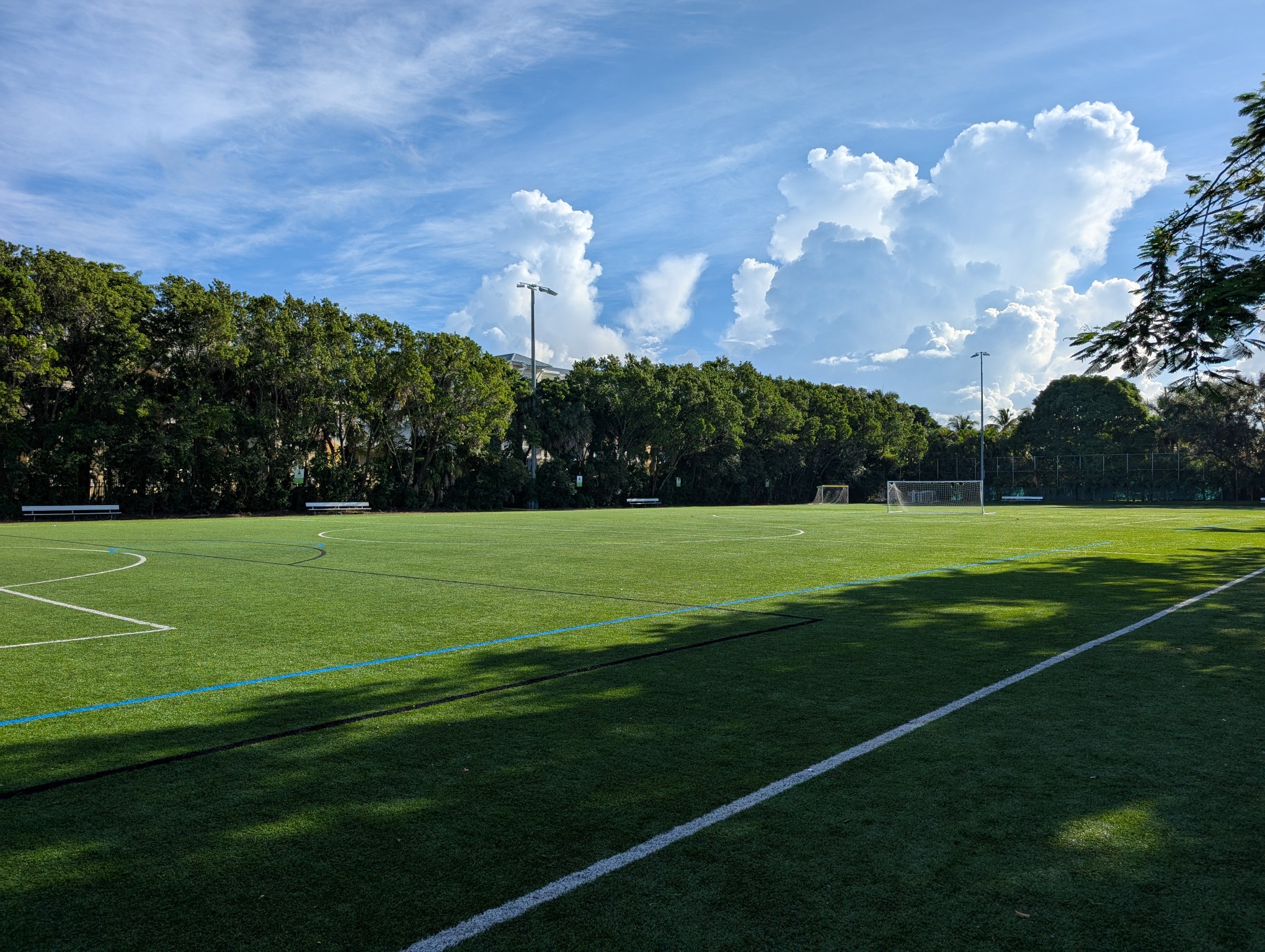 Flagler Grove Park banner image