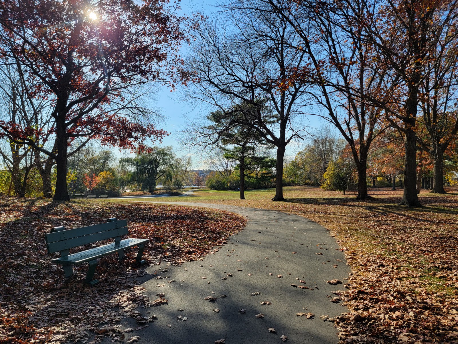 Mystic River Reservation - Torbert MacDonald Park banner image