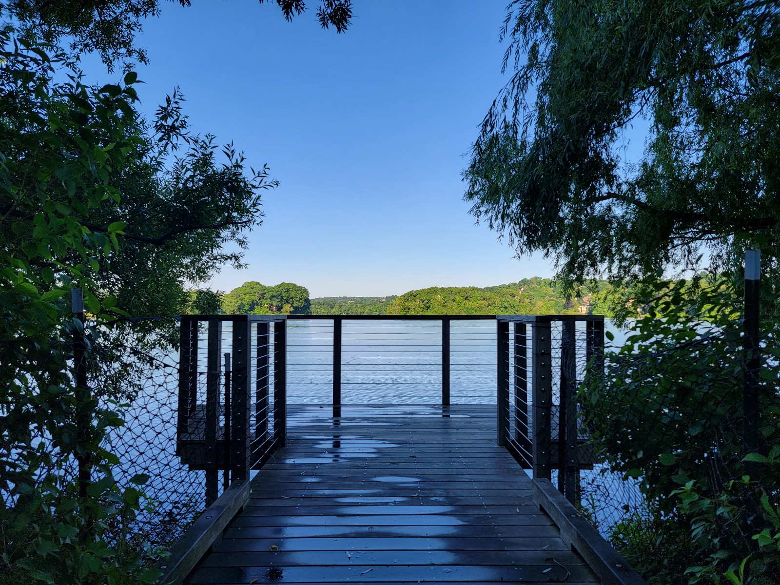 Spy Pond Park banner image