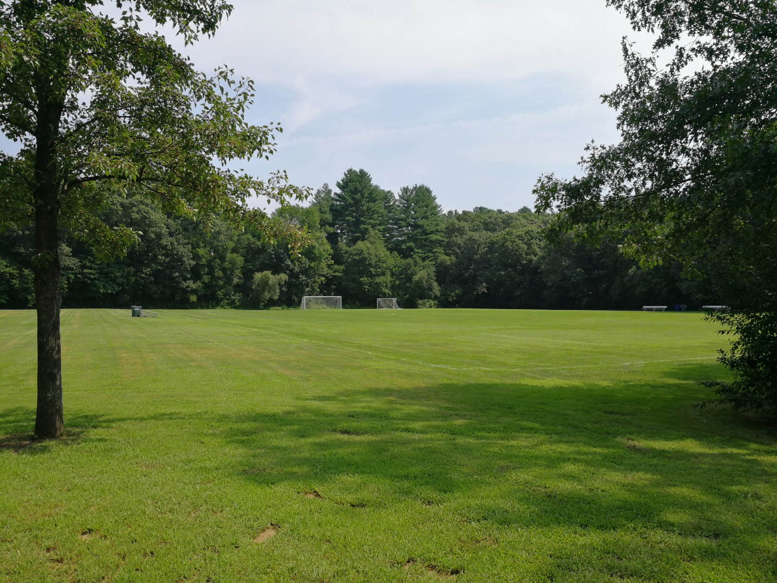 Alpine Field banner image