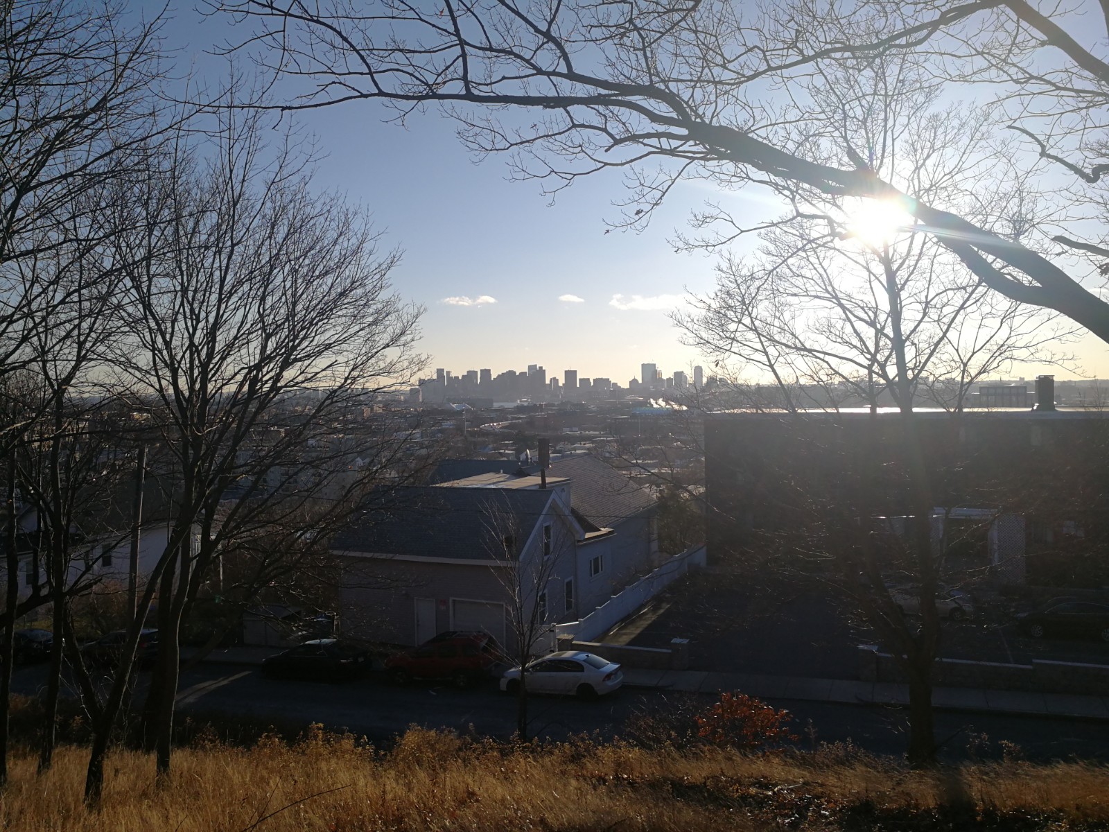 Malone Park banner image