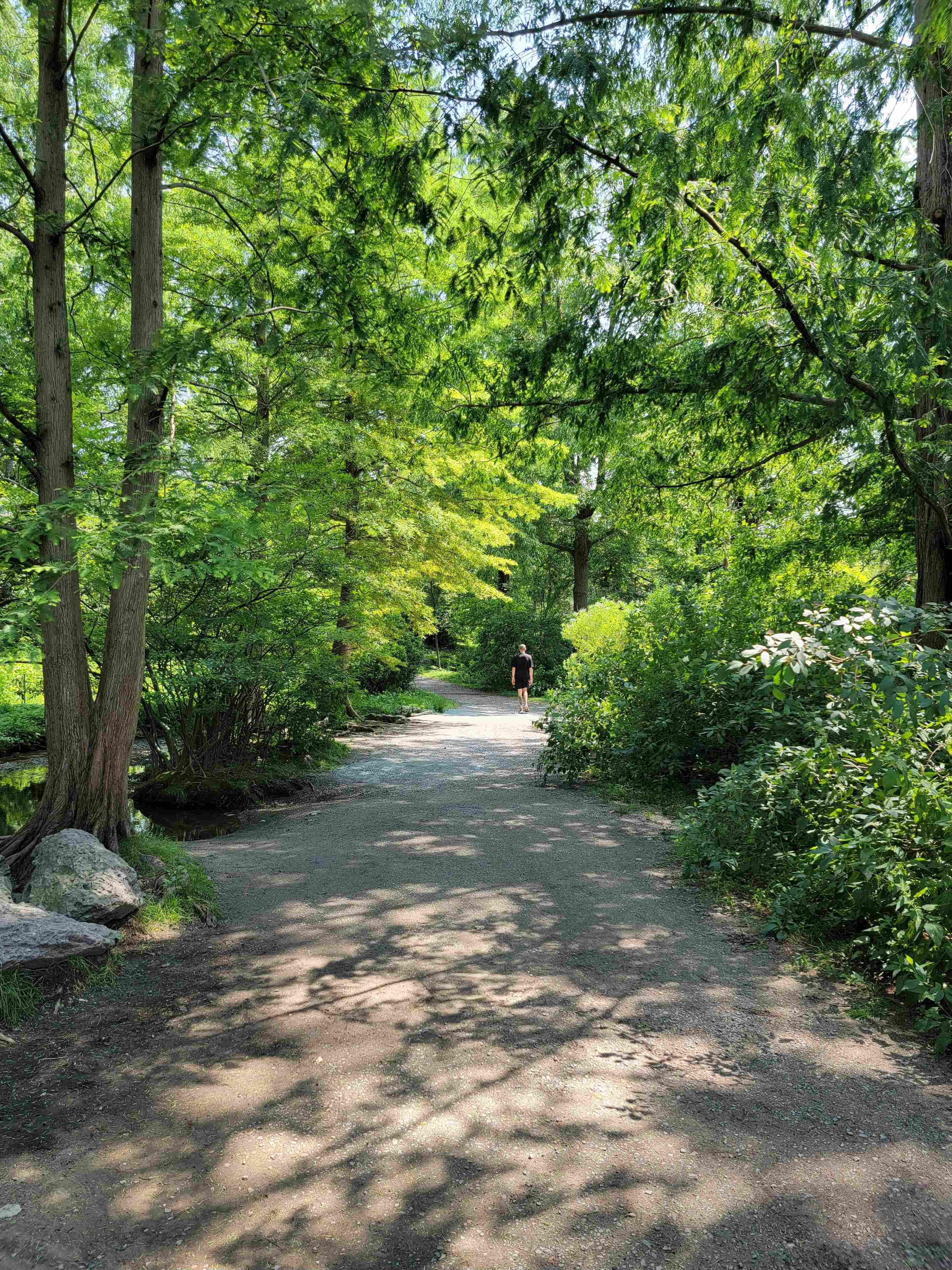 20230711_141339_copy_2936x3915 (1).jpg