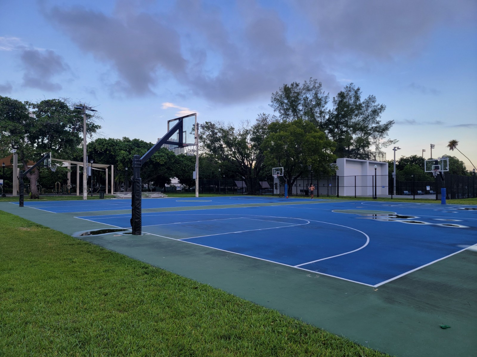 Flamingo Park banner image