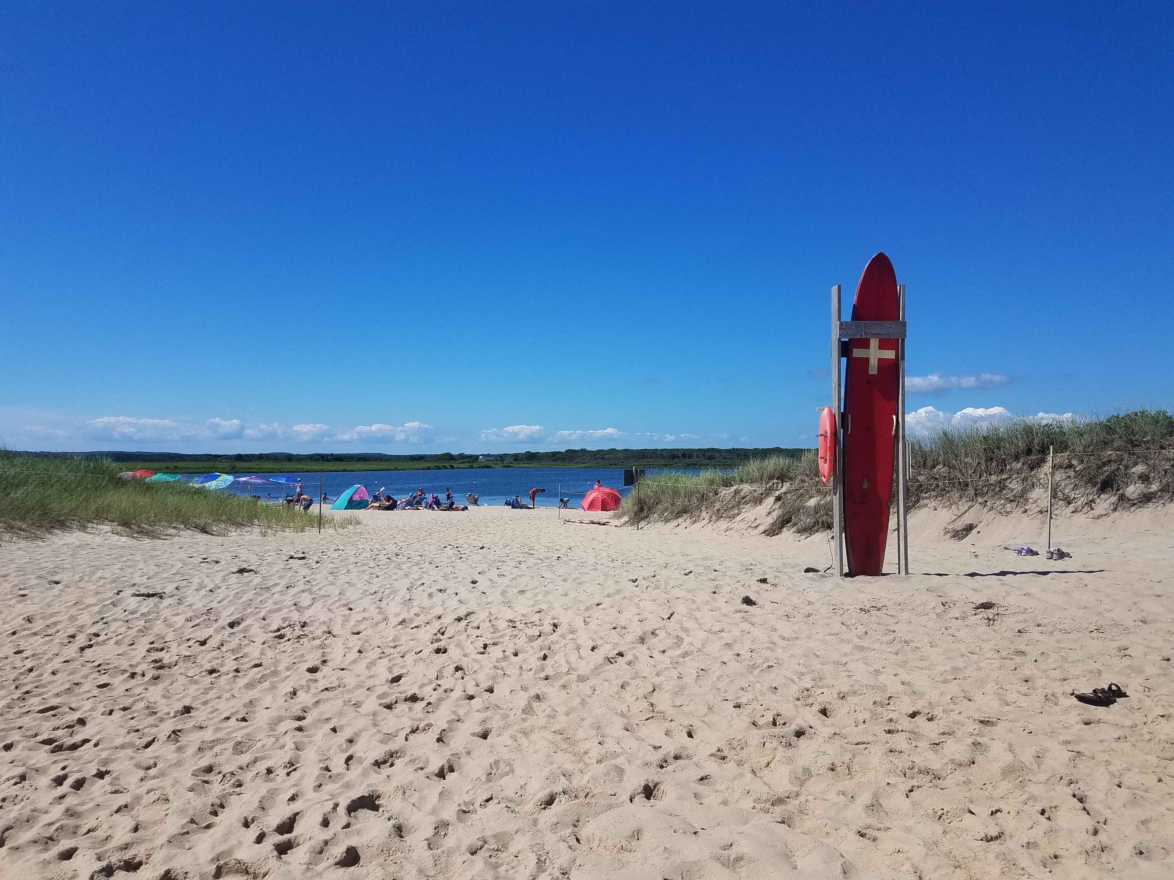 Long Point Wildlife Refuge banner image