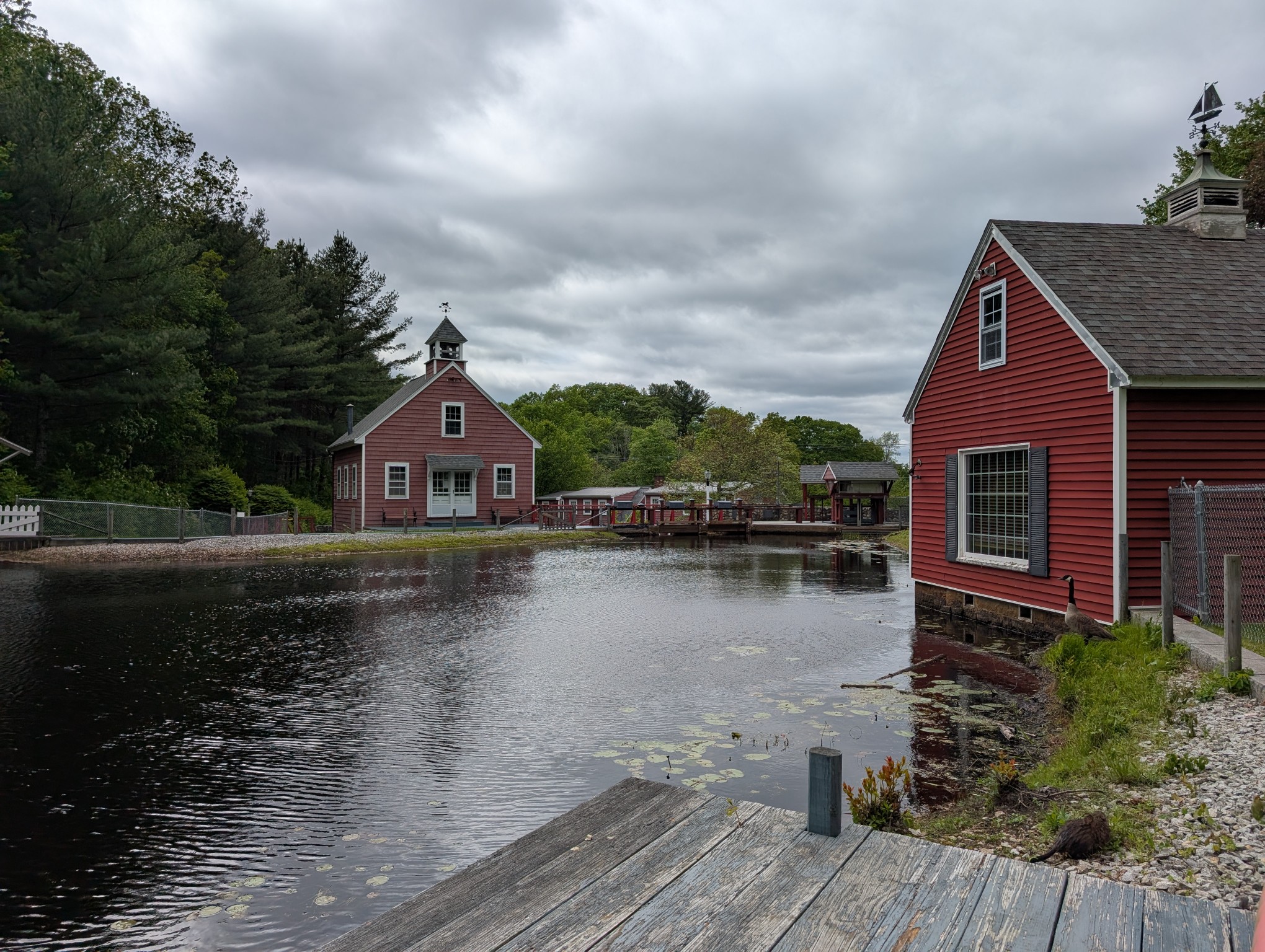 Russell Mill Pond and Town Forest (Murphy Field) banner image