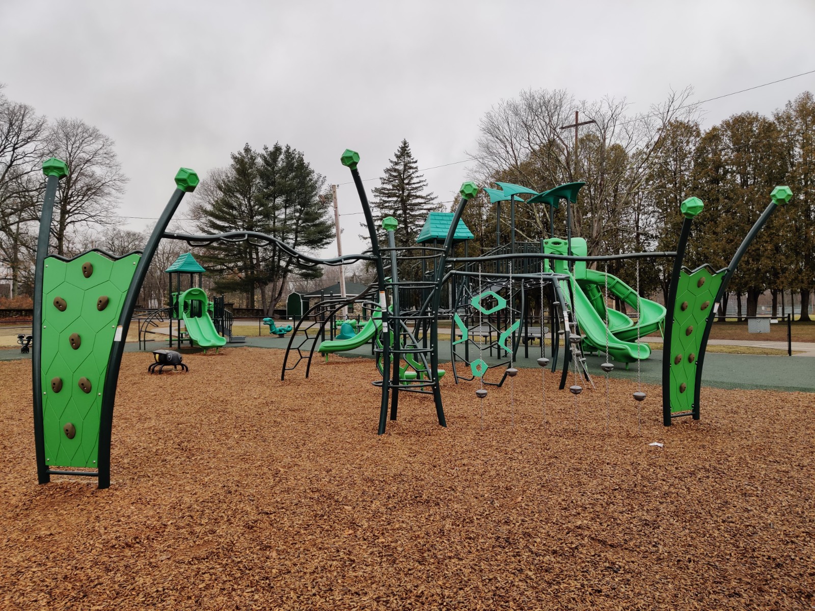 Mansfield Memorial Park banner image