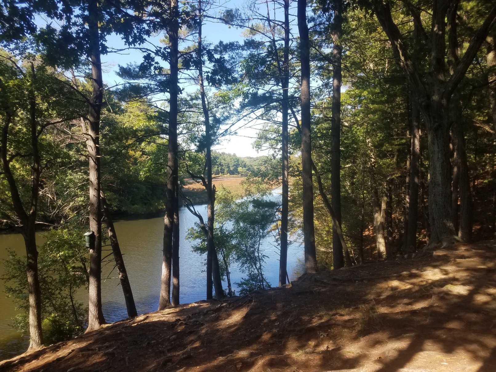 Norumbega Park banner image