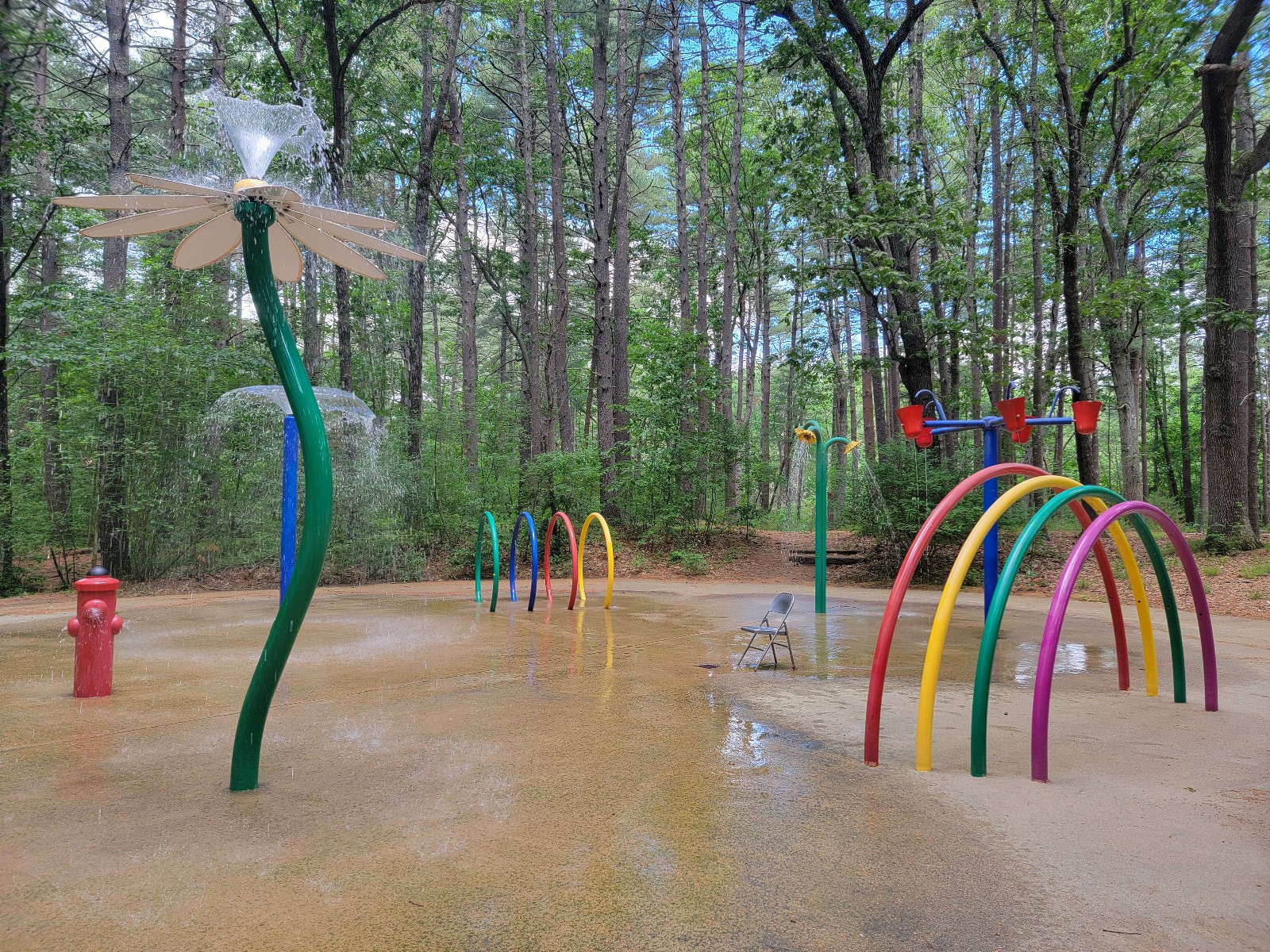 Warren H. Manning State Forest banner image