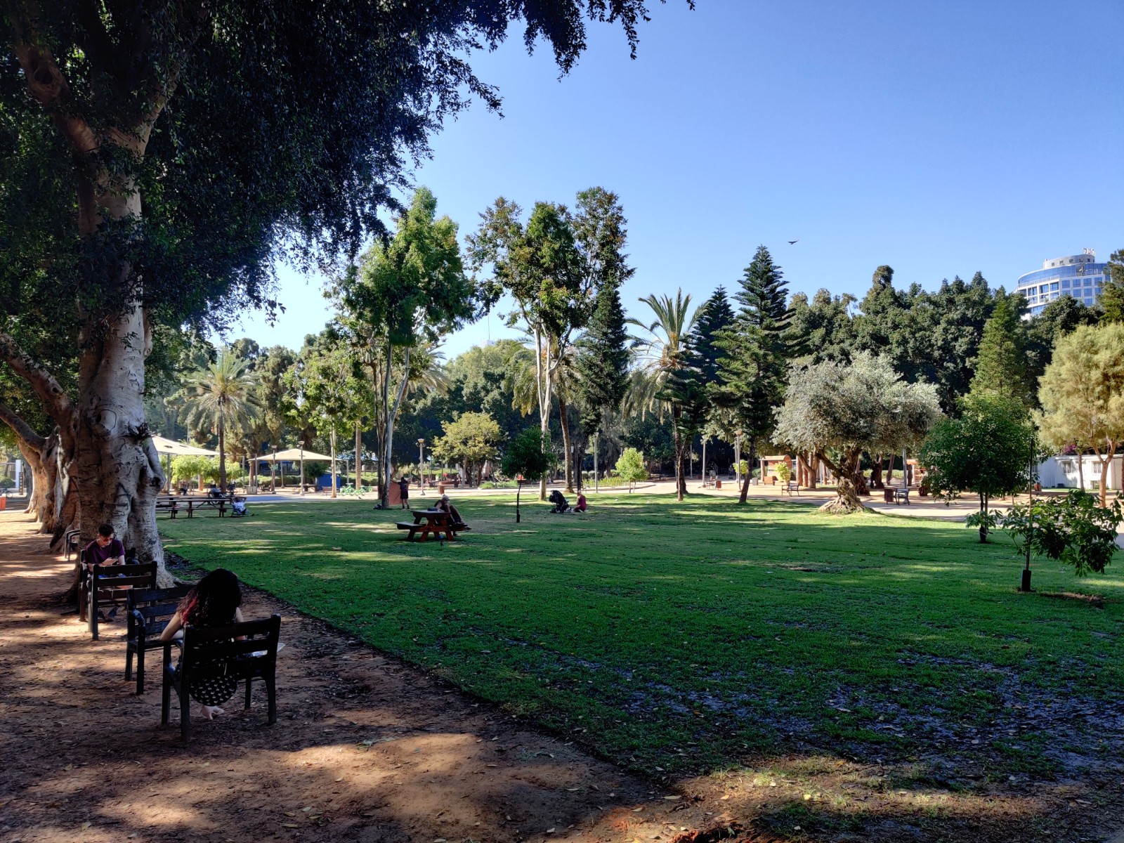 Meir Park banner image